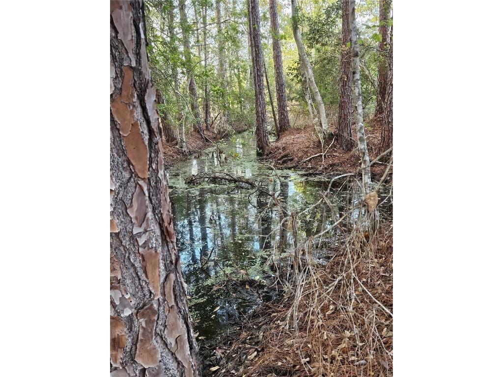 29723 Fullerville Road Deland FL 32720 G5105459 image50