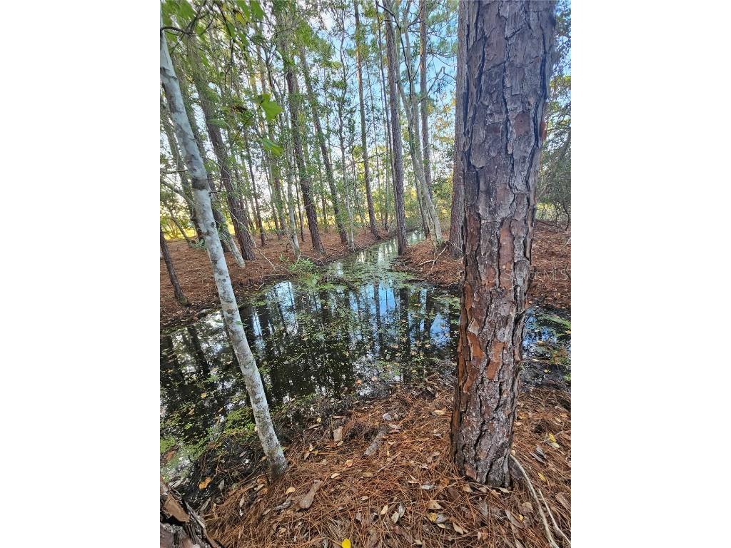 29723 Fullerville Road Deland FL 32720 G5105459 image51