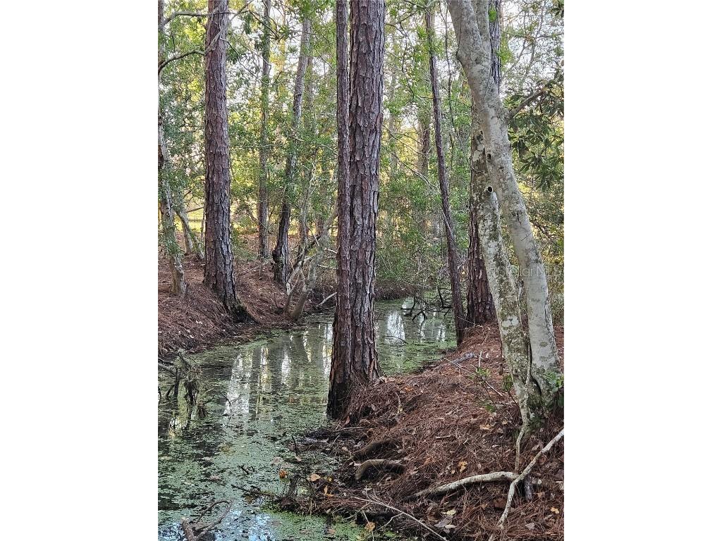 29723 Fullerville Road Deland FL 32720 G5105459 image52