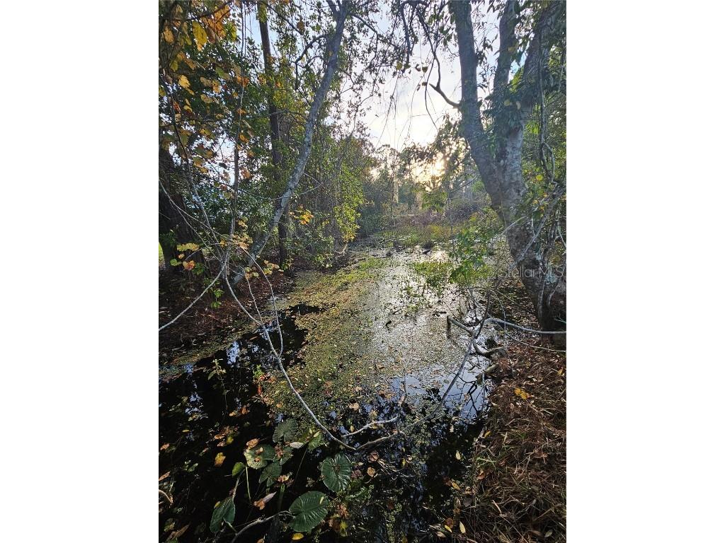 29723 Fullerville Road Deland FL 32720 G5105459 image53