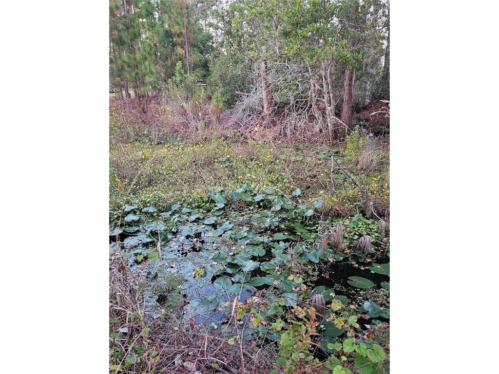 29723 Fullerville Road Deland FL 32720 G5105459 image54