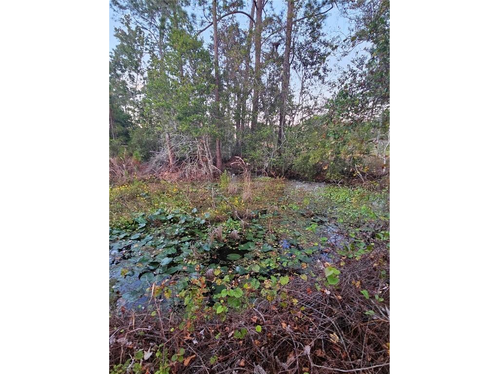 29723 Fullerville Road Deland FL 32720 G5105459 image55