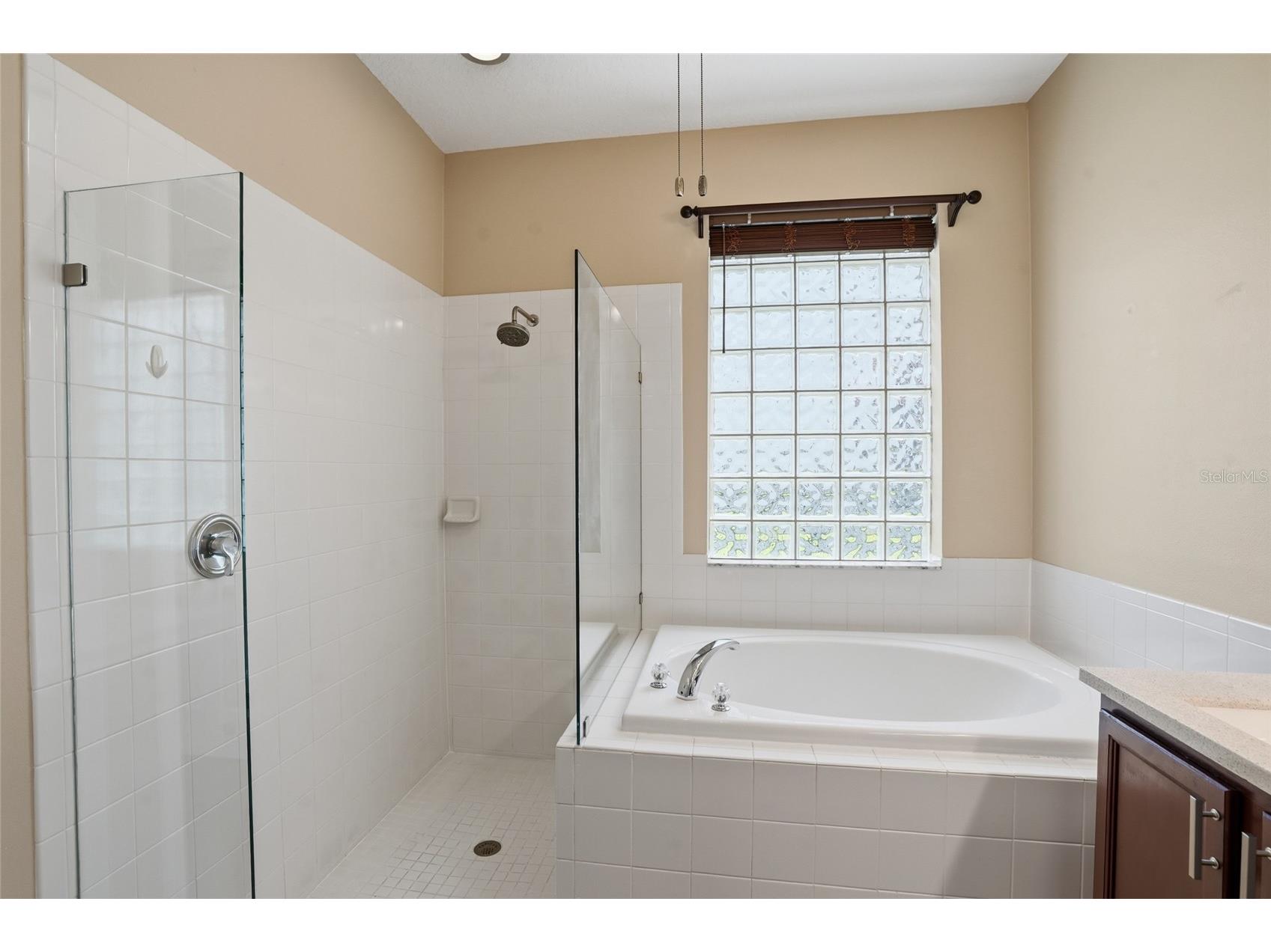 29725 Cedar Waxwing Drive Wesley Chapel FL 33545 TB8486949 image26