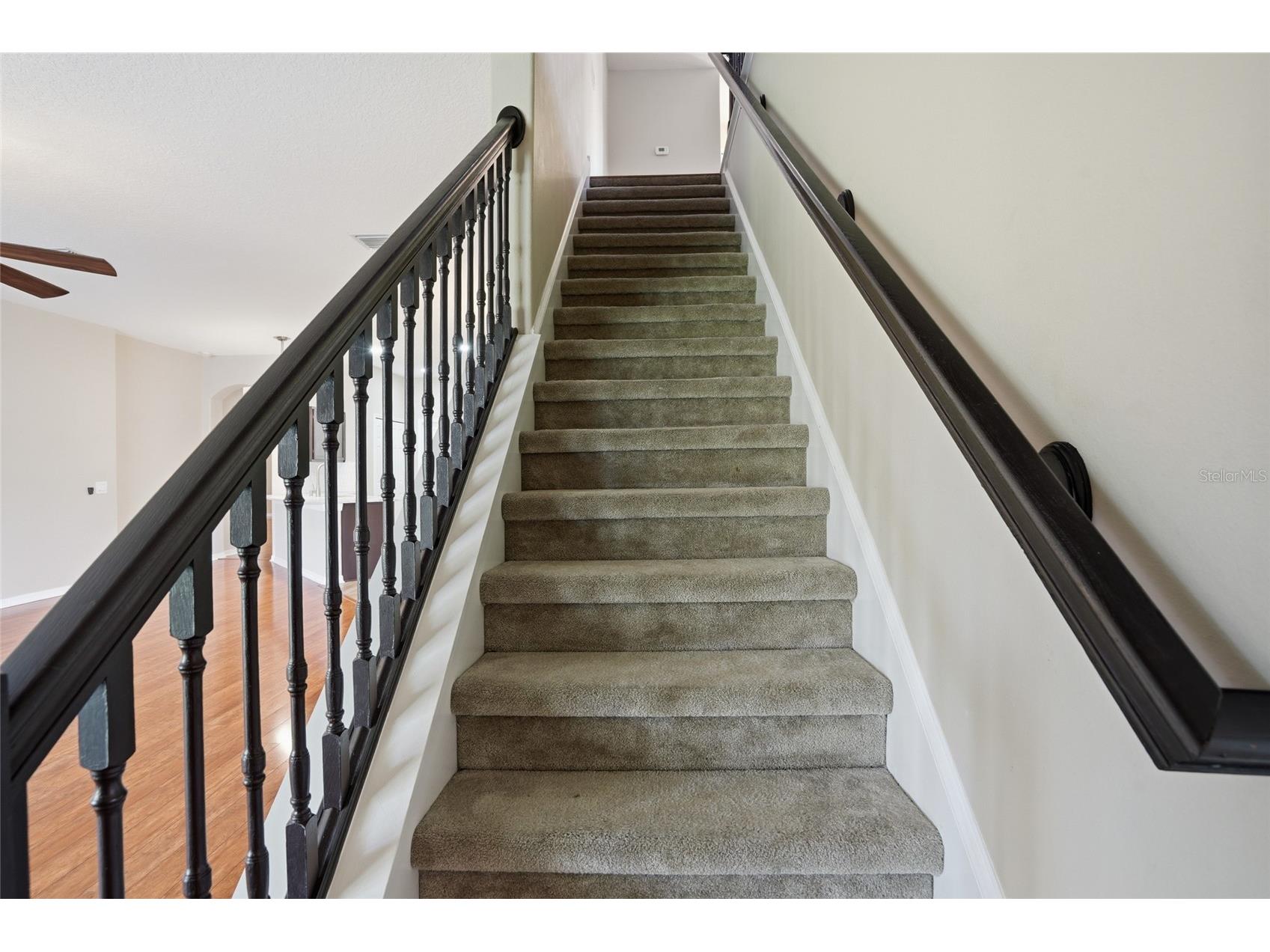 29725 Cedar Waxwing Drive Wesley Chapel FL 33545 TB8486949 image28