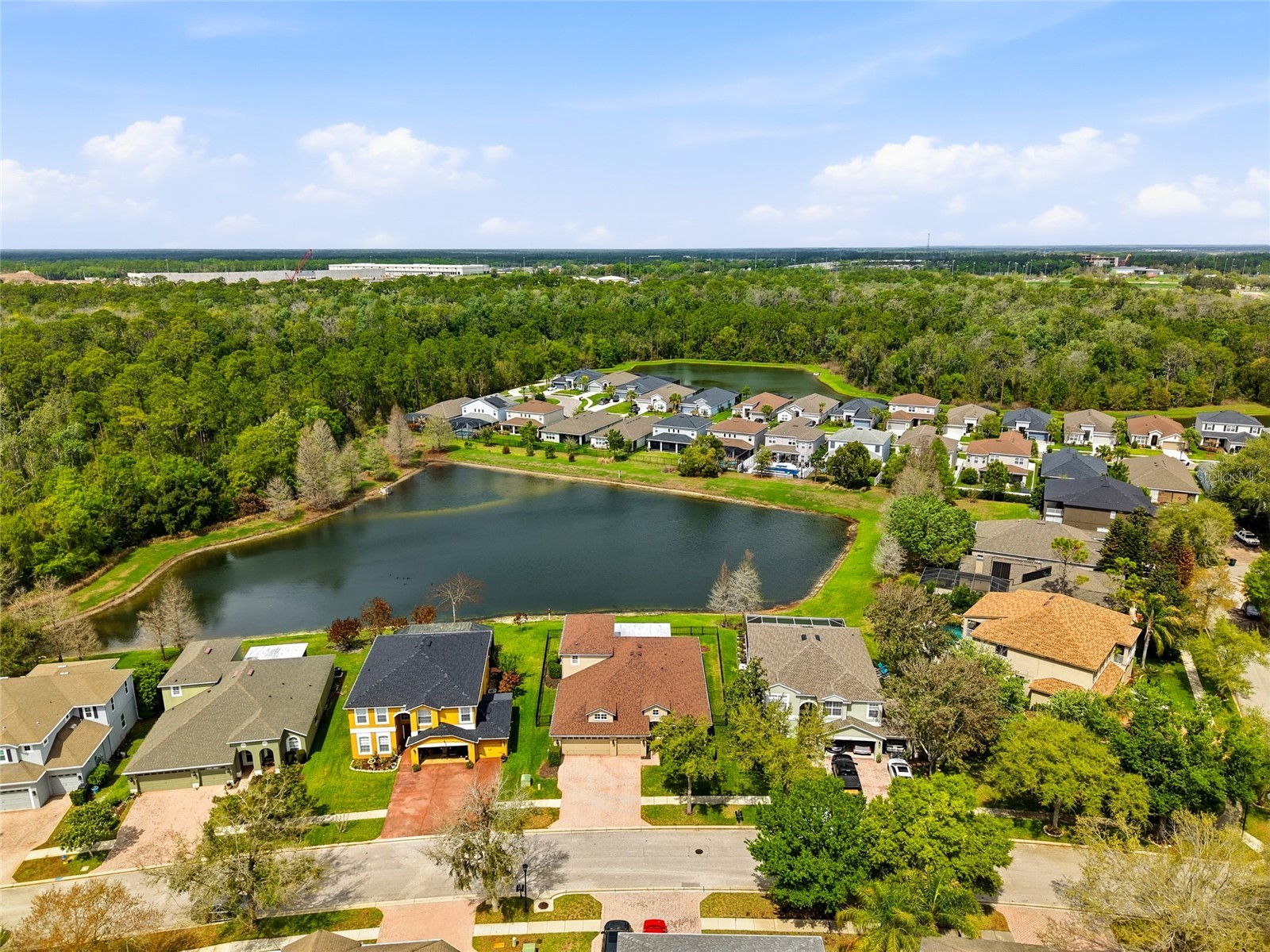 29725 Cedar Waxwing Drive Wesley Chapel FL 33545 TB8486949 image3