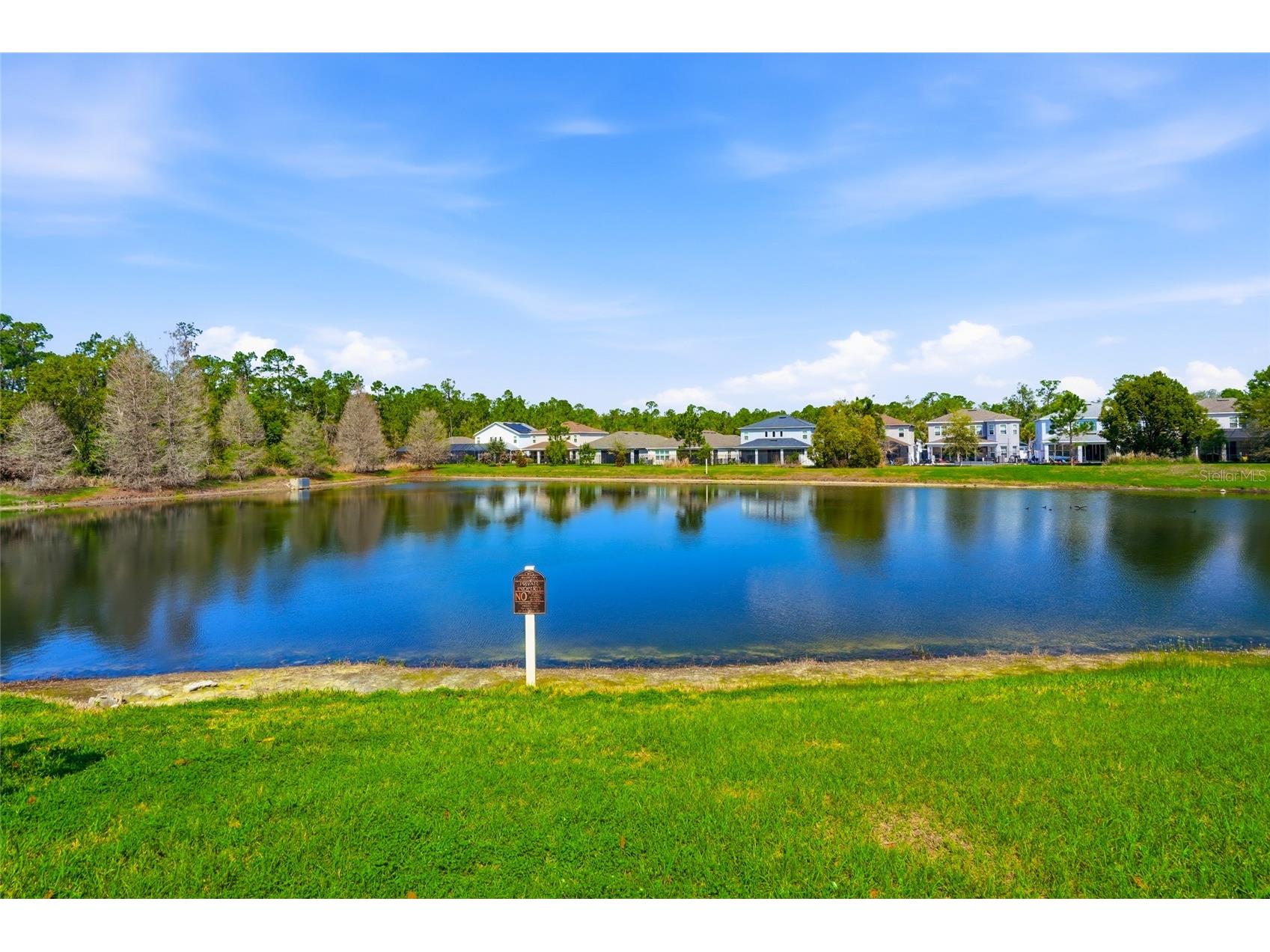 29725 Cedar Waxwing Drive Wesley Chapel FL 33545 TB8486949 image38