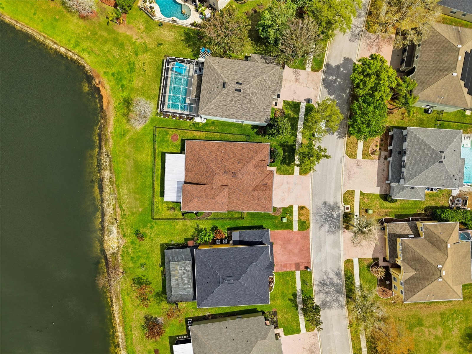 29725 Cedar Waxwing Drive Wesley Chapel FL 33545 TB8486949 image40