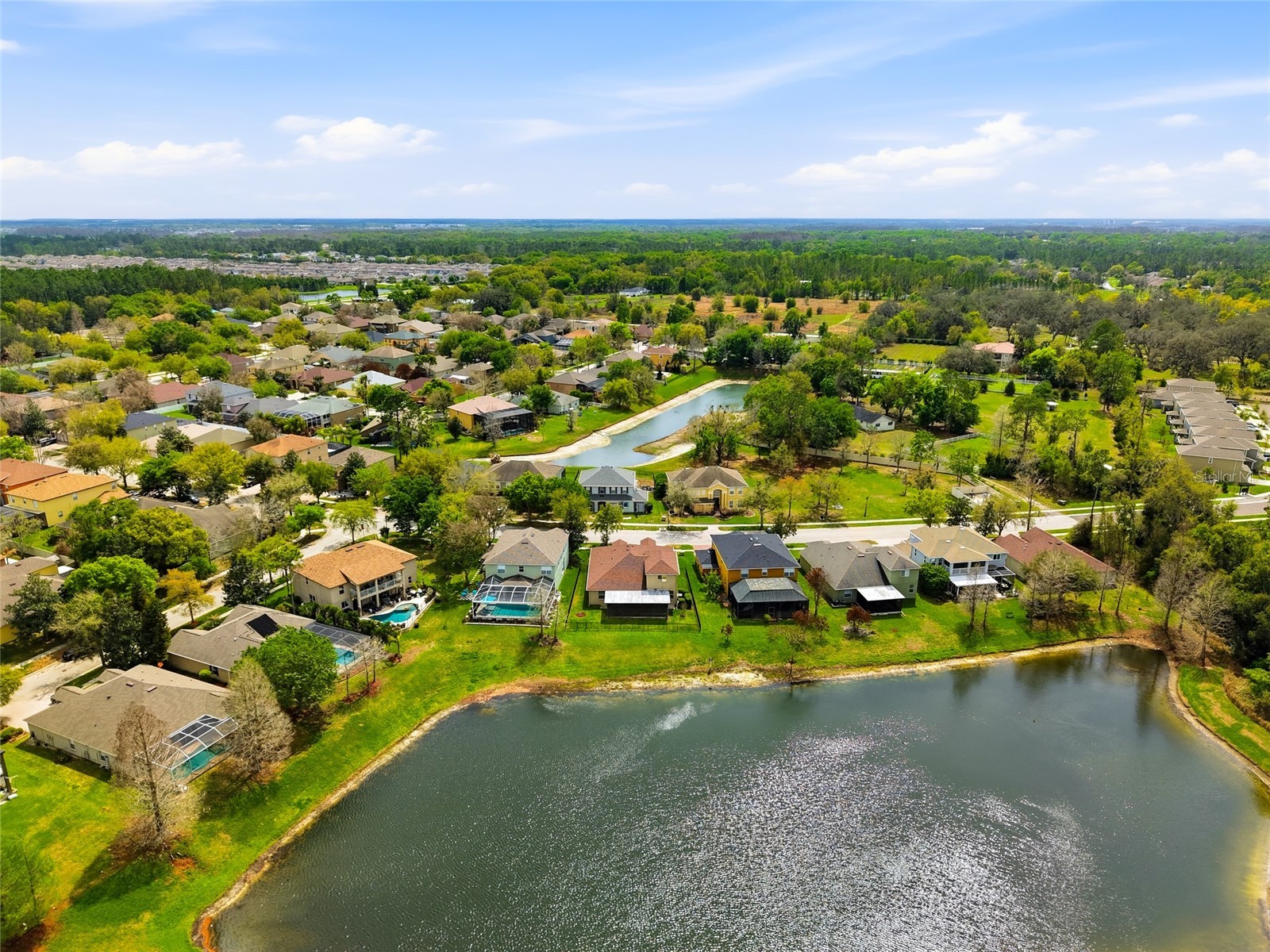 29725 Cedar Waxwing Drive Wesley Chapel FL 33545 TB8486949 image41