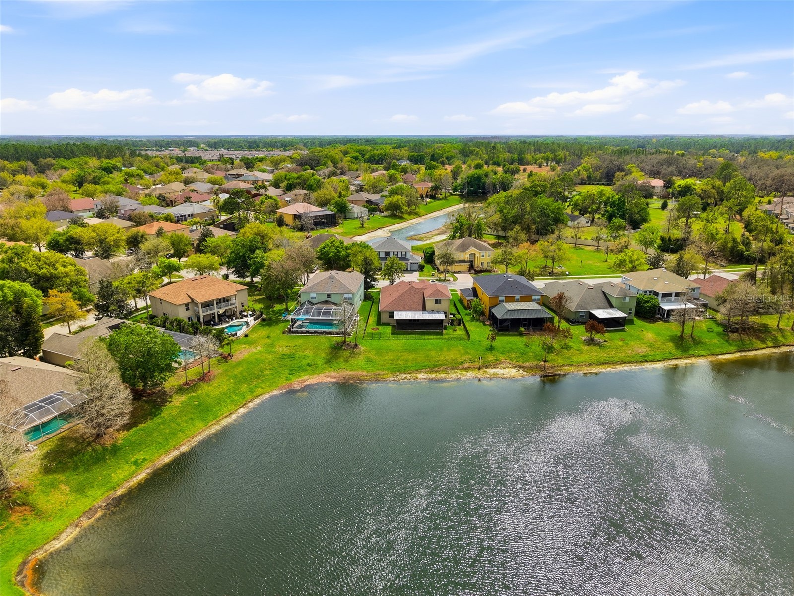 29725 Cedar Waxwing Drive Wesley Chapel FL 33545 TB8486949 image42