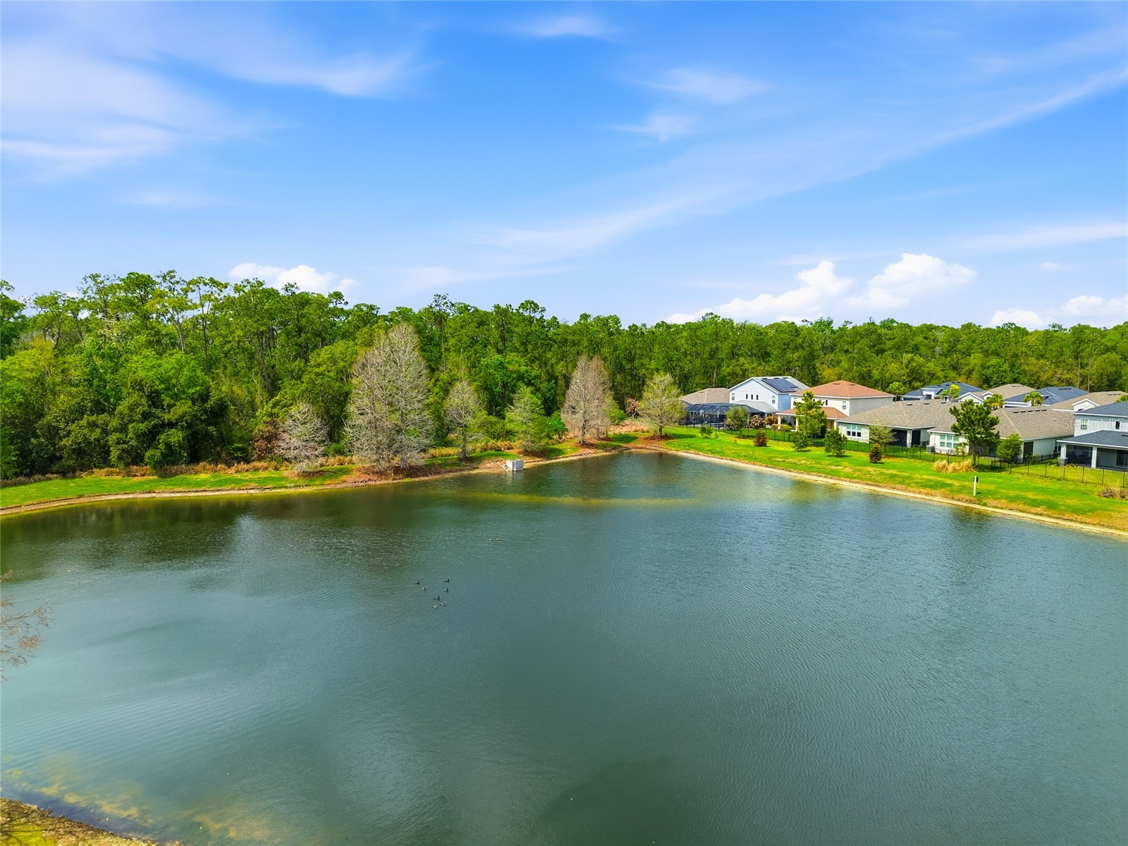 29725 Cedar Waxwing Drive Wesley Chapel FL 33545 TB8486949 image43