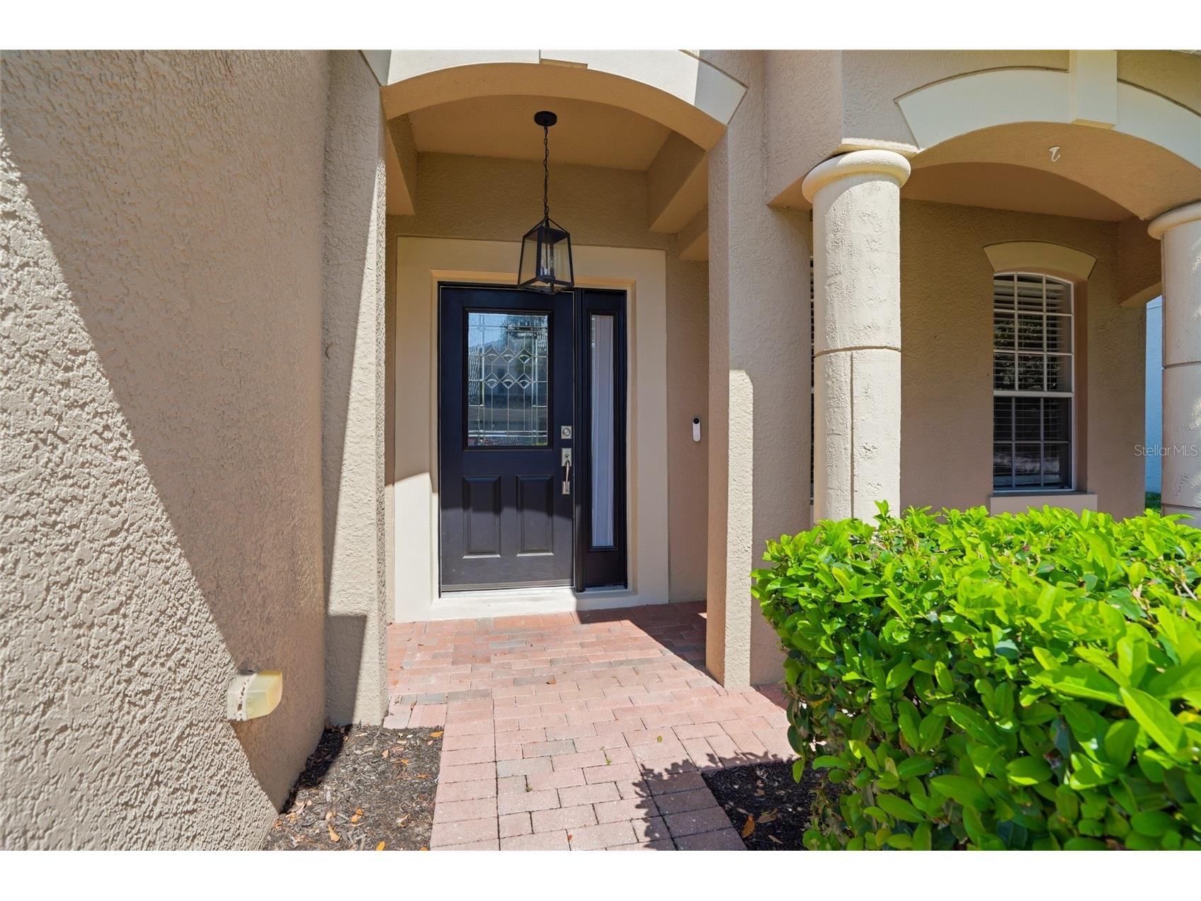 29725 Cedar Waxwing Drive Wesley Chapel FL 33545 TB8486949 image6