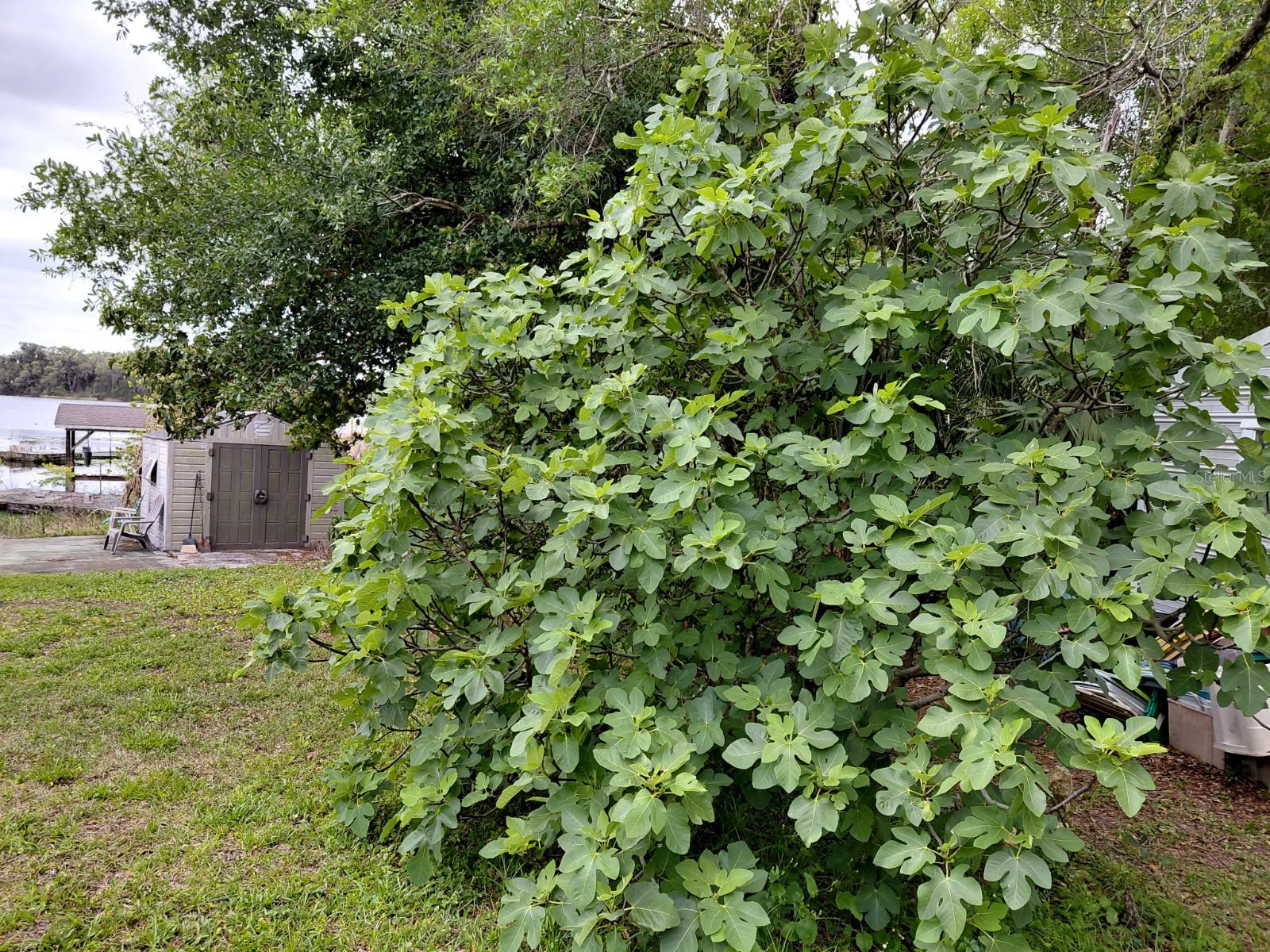 2973 Parma Drive Deltona FL 32738 O6388081 image25