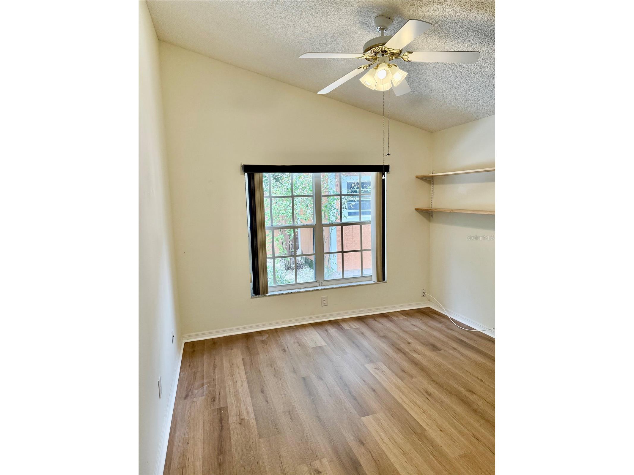 2973 Spring Oak Court Palm Harbor FL 34684 TB8390194 image15