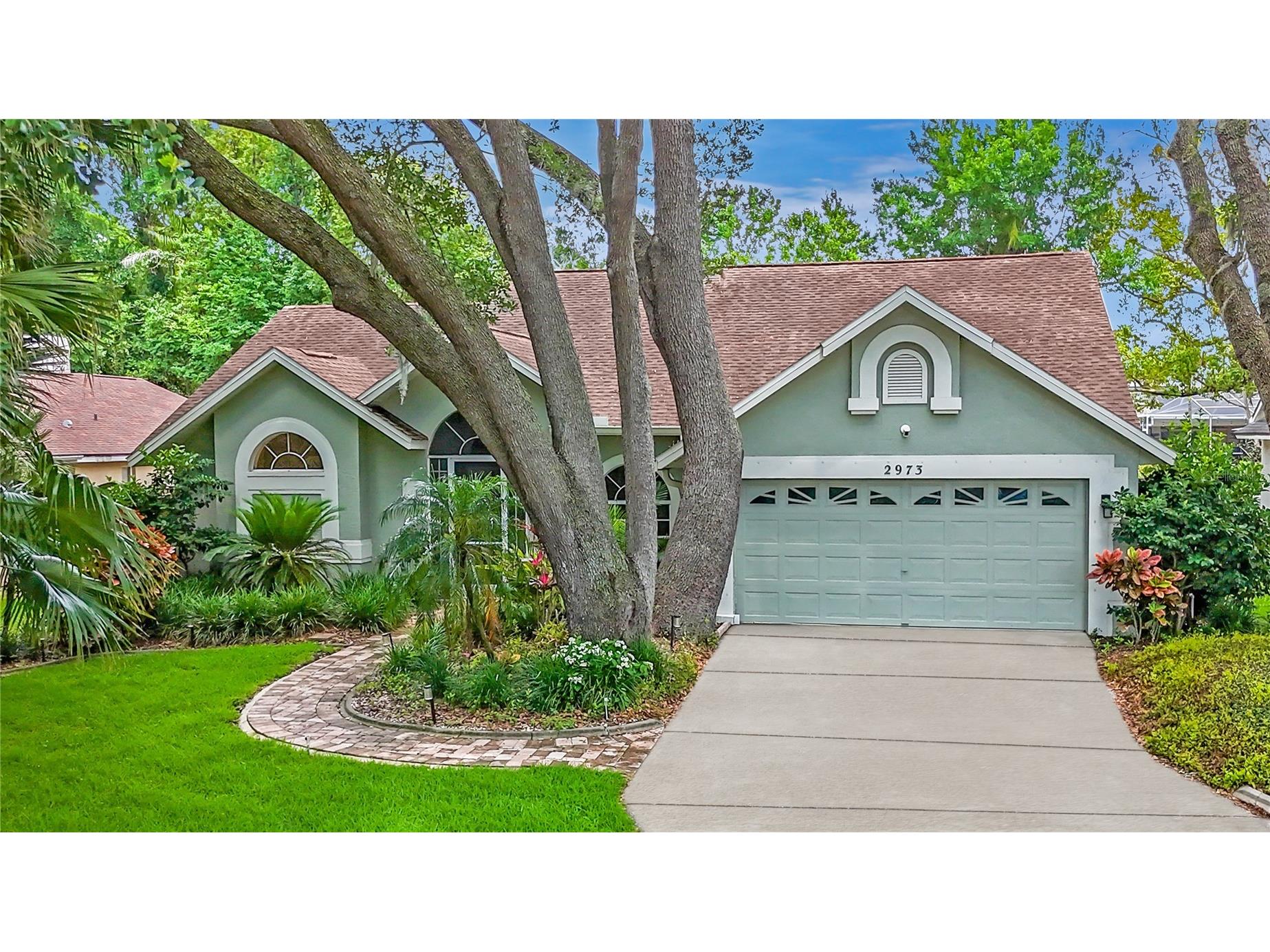 2973 Spring Oak Court Palm Harbor FL 34684 TB8390194 image2