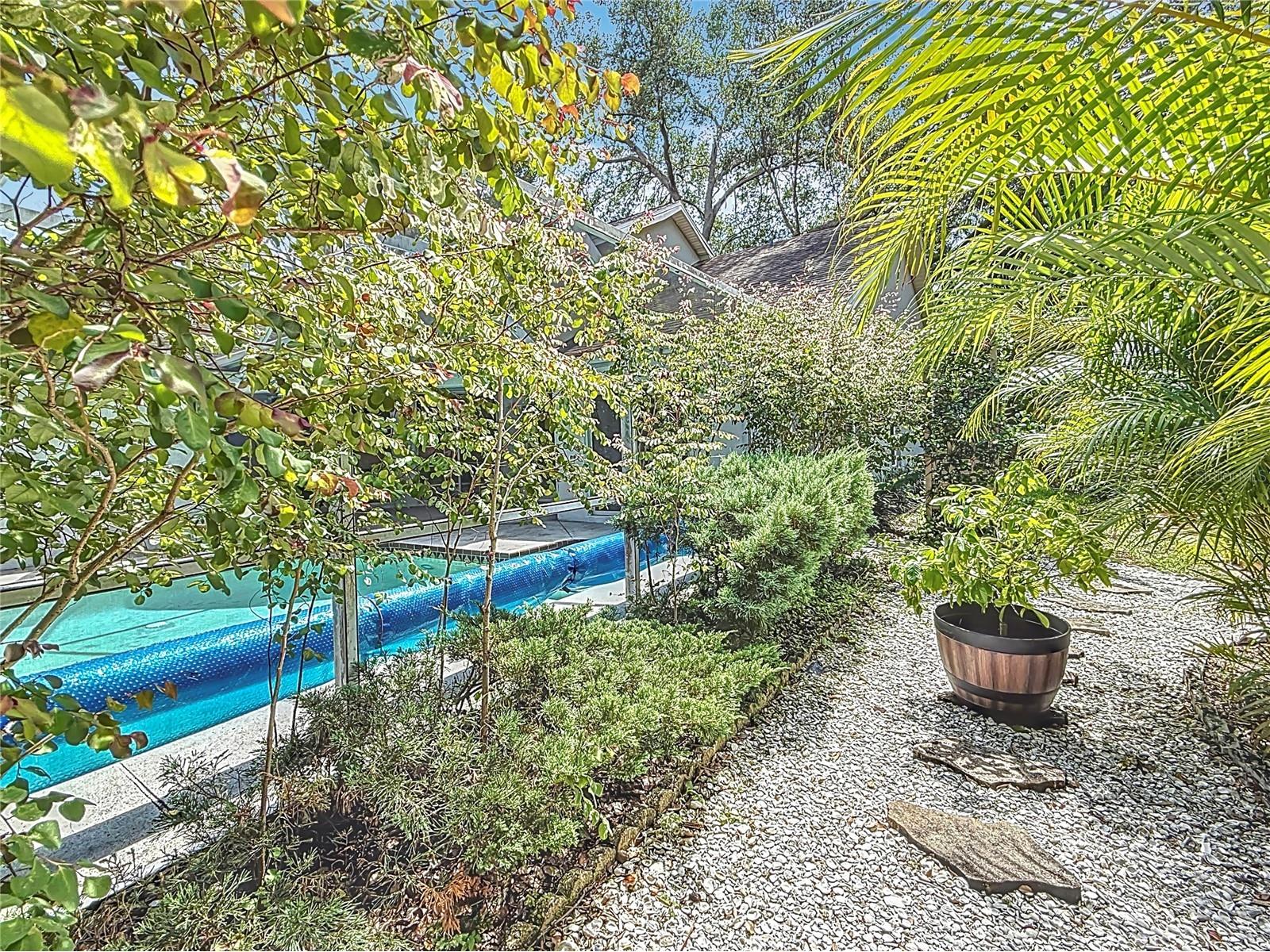 2973 Spring Oak Court Palm Harbor FL 34684 TB8390194 image22