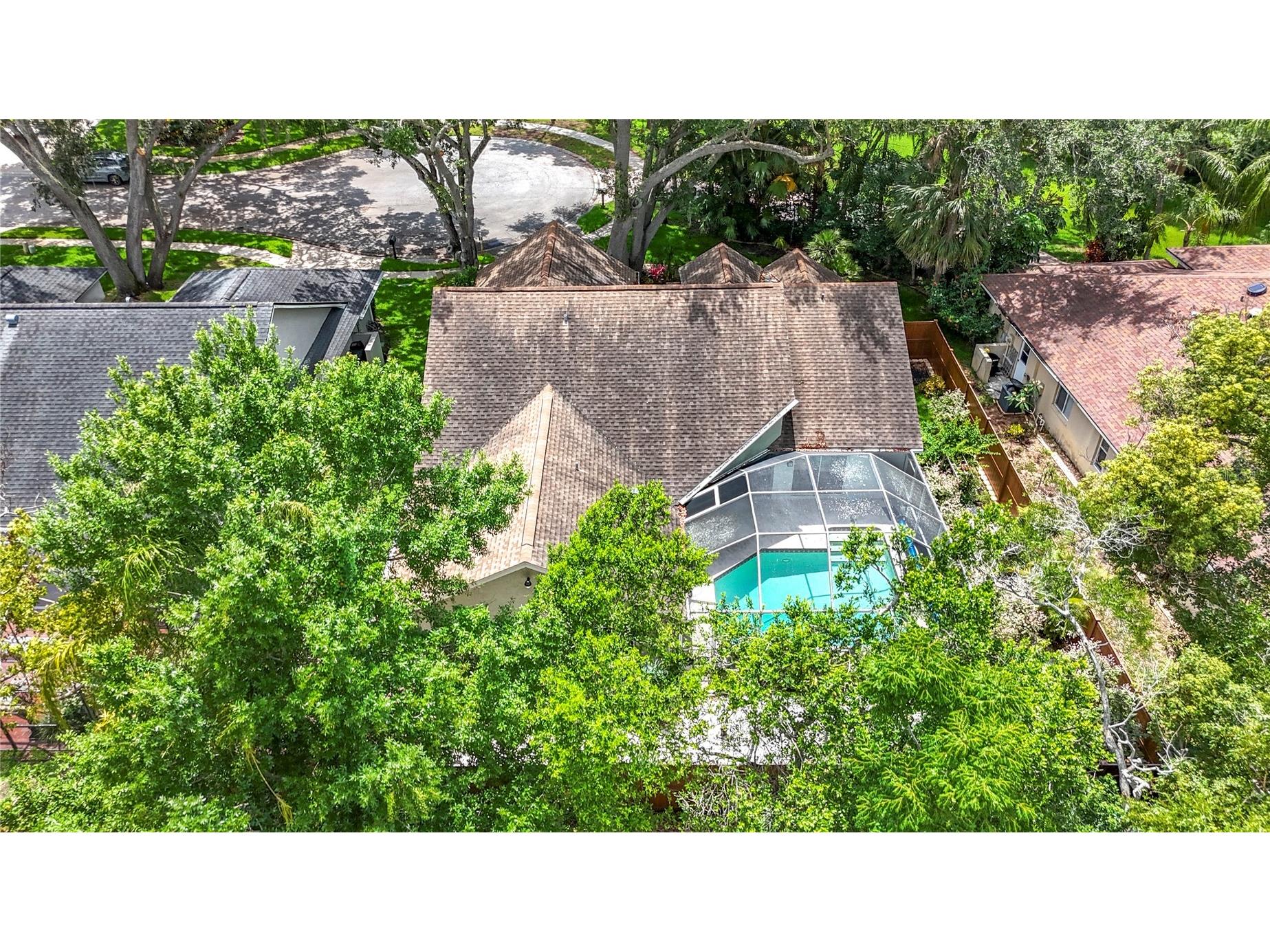 2973 Spring Oak Court Palm Harbor FL 34684 TB8390194 image32