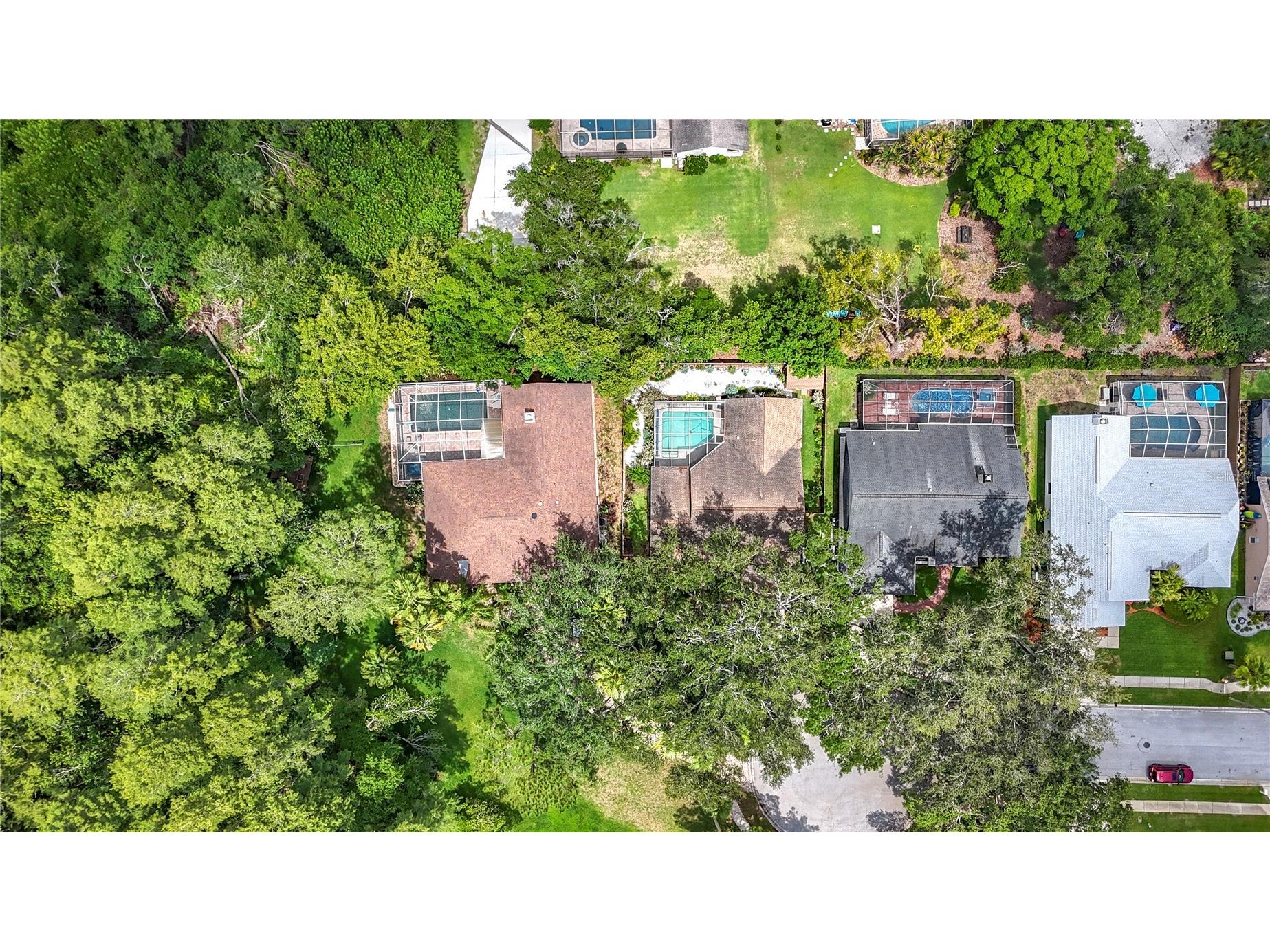 2973 Spring Oak Court Palm Harbor FL 34684 TB8390194 image35