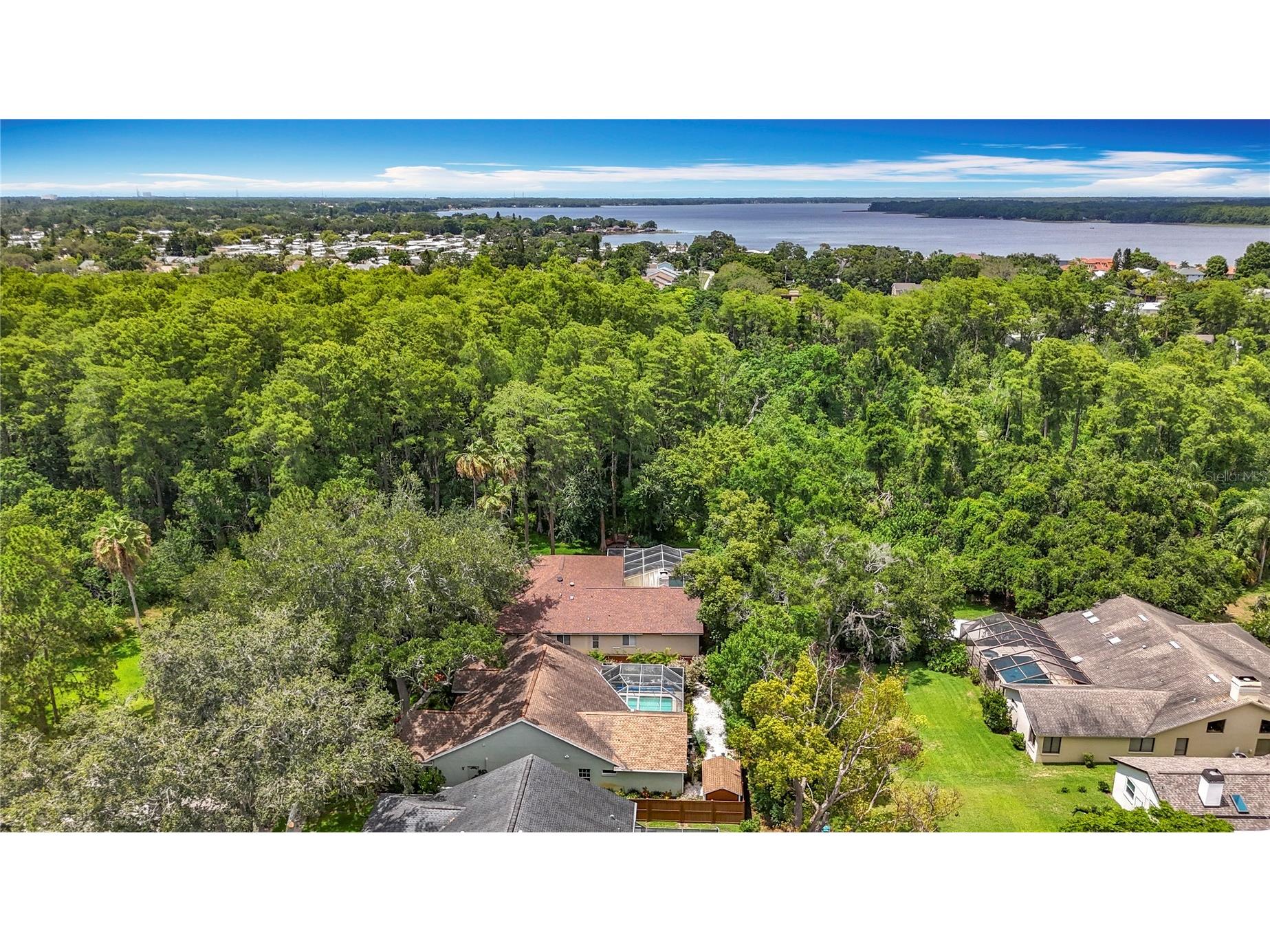 2973 Spring Oak Court Palm Harbor FL 34684 TB8390194 image36