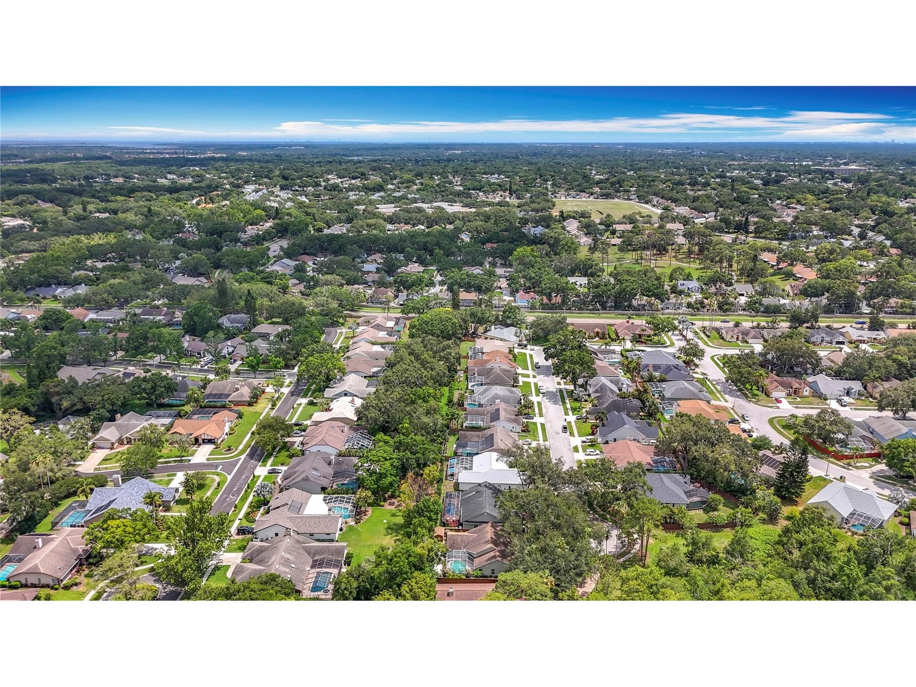 2973 Spring Oak Court Palm Harbor FL 34684 TB8390194 image46