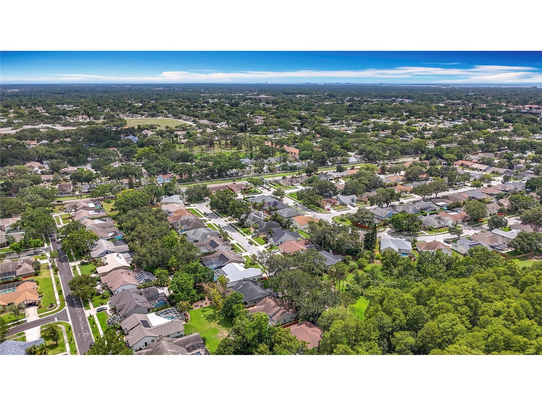 2973 Spring Oak Court Palm Harbor FL 34684 TB8390194 image50