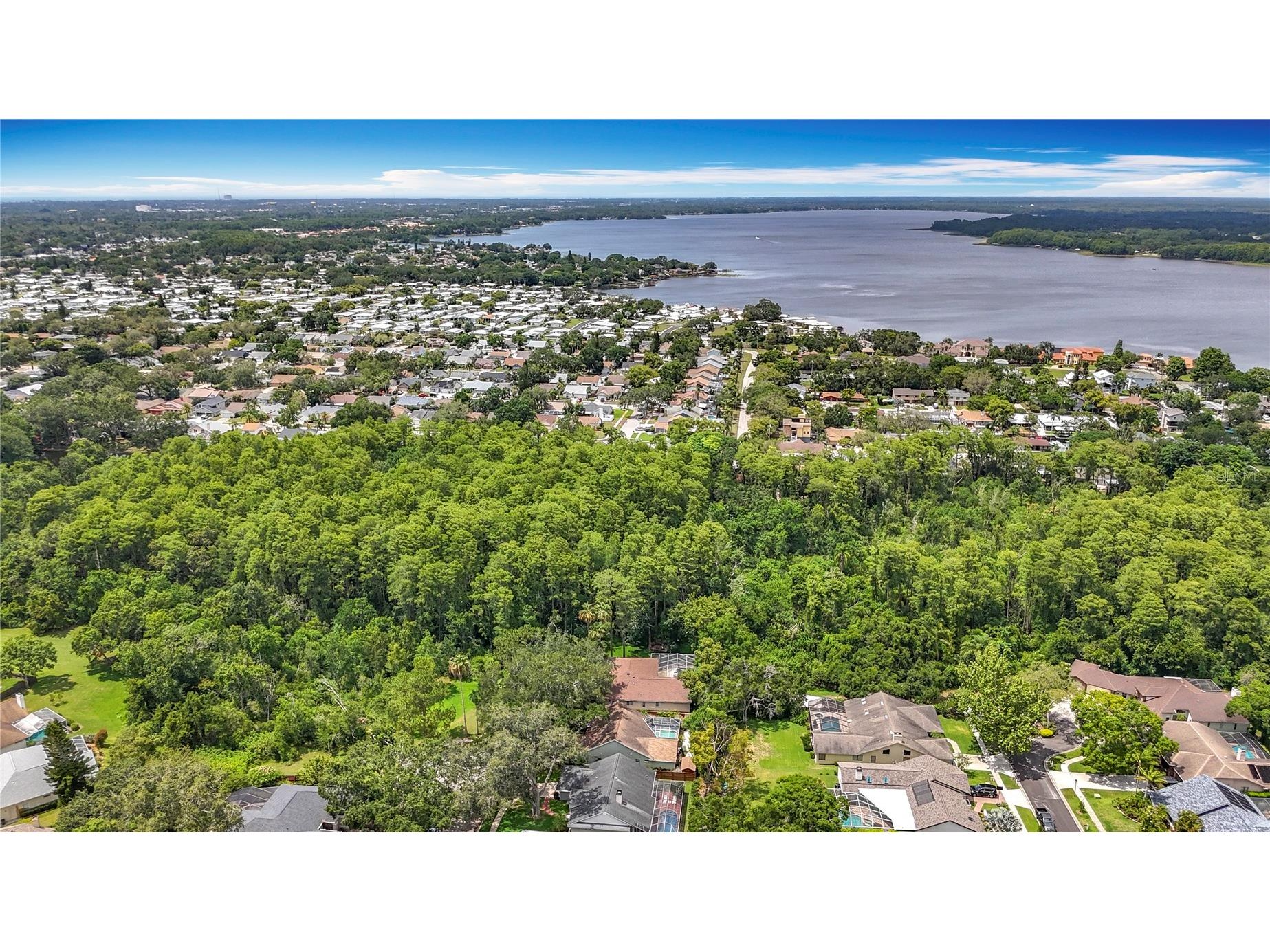 2973 Spring Oak Court Palm Harbor FL 34684 TB8390194 image51