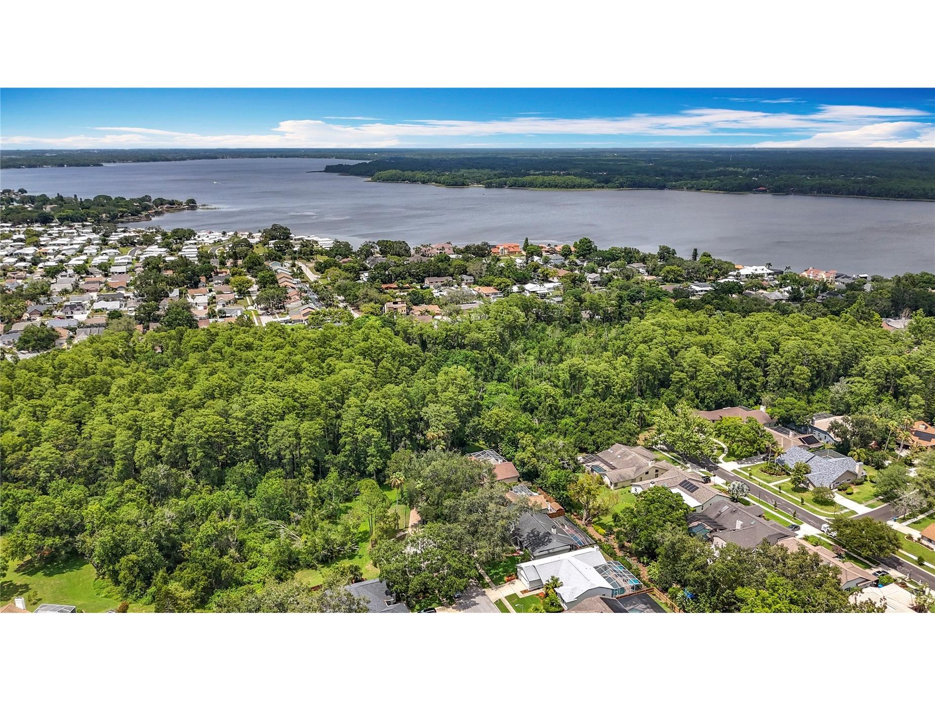 2973 Spring Oak Court Palm Harbor FL 34684 TB8390194 image52