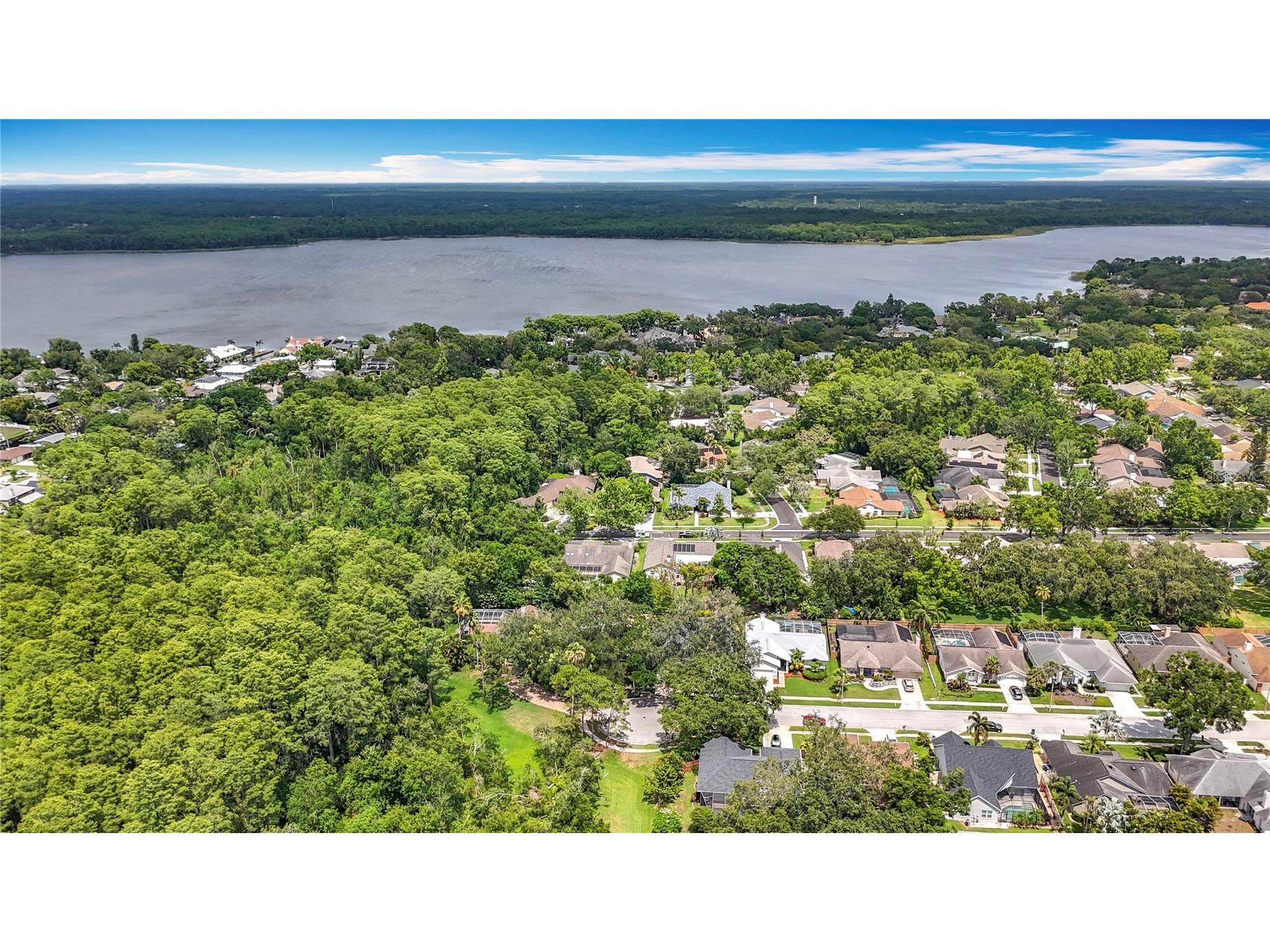 2973 Spring Oak Court Palm Harbor FL 34684 TB8390194 image53