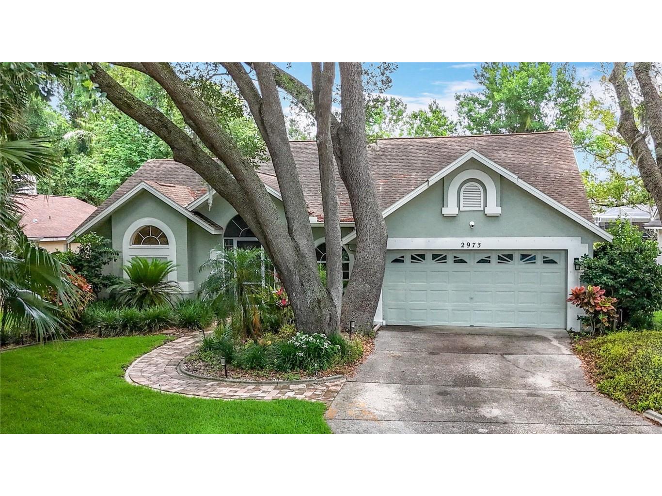 2973 Spring Oak Court Palm Harbor FL 34684 TB8439891 image1