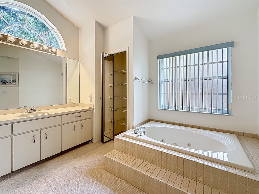 2973 Spring Oak Court Palm Harbor FL 34684 TB8439891 image27