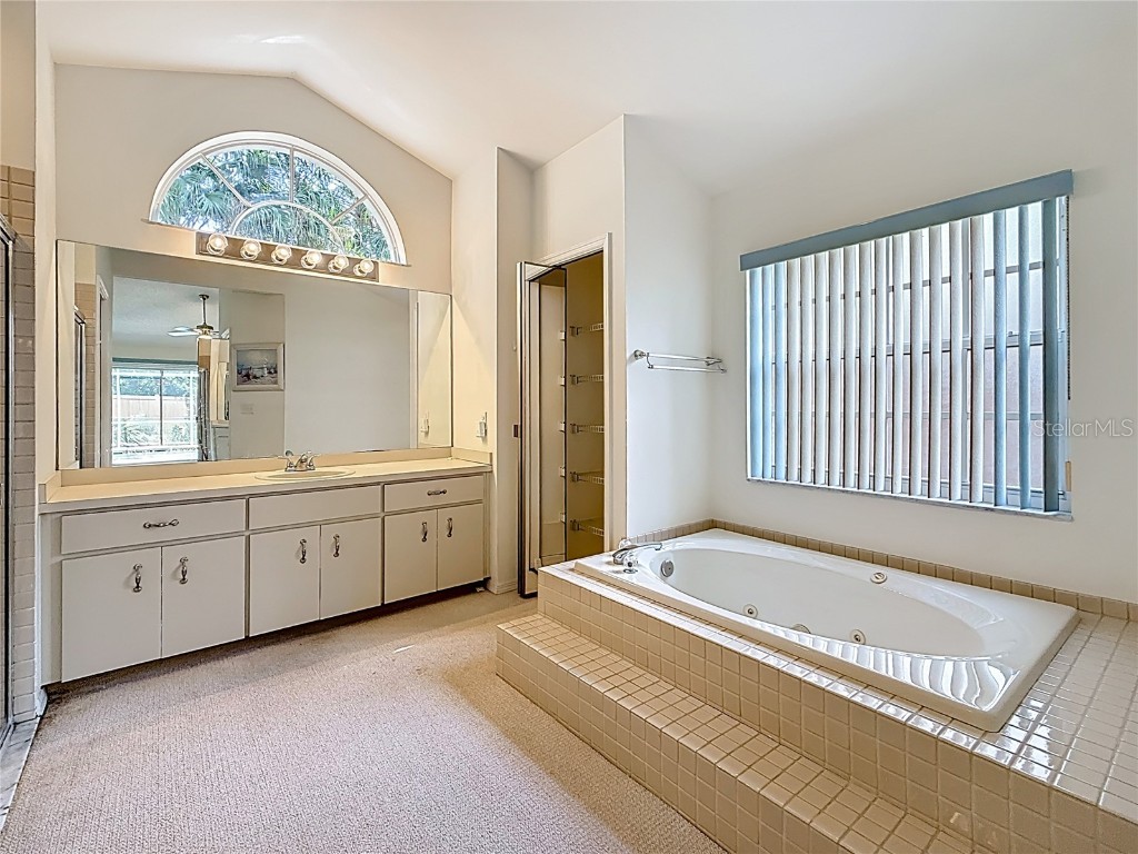 2973 Spring Oak Court Palm Harbor FL 34684 TB8439891 image28