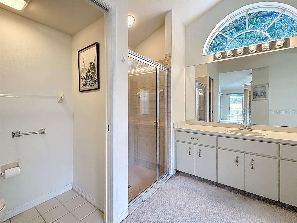 2973 Spring Oak Court Palm Harbor FL 34684 TB8439891 image29