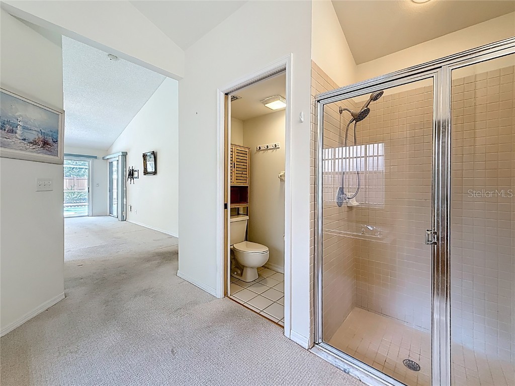 2973 Spring Oak Court Palm Harbor FL 34684 TB8439891 image33