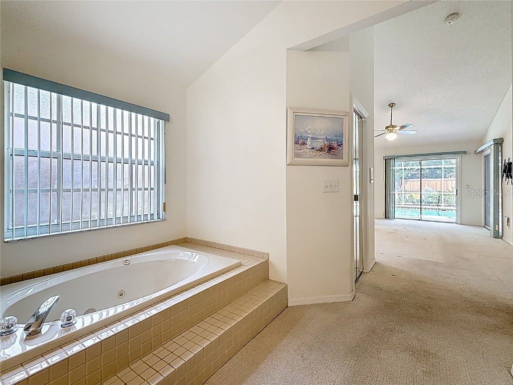 2973 Spring Oak Court Palm Harbor FL 34684 TB8439891 image35