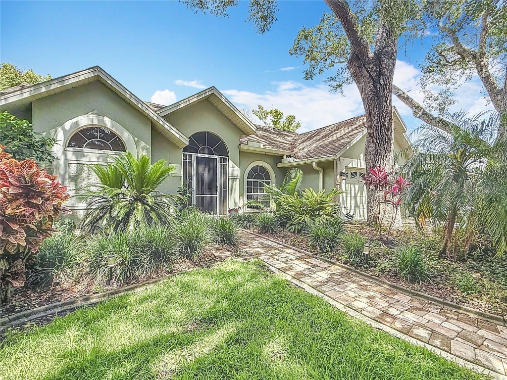 2973 Spring Oak Court Palm Harbor FL 34684 TB8439891 image39