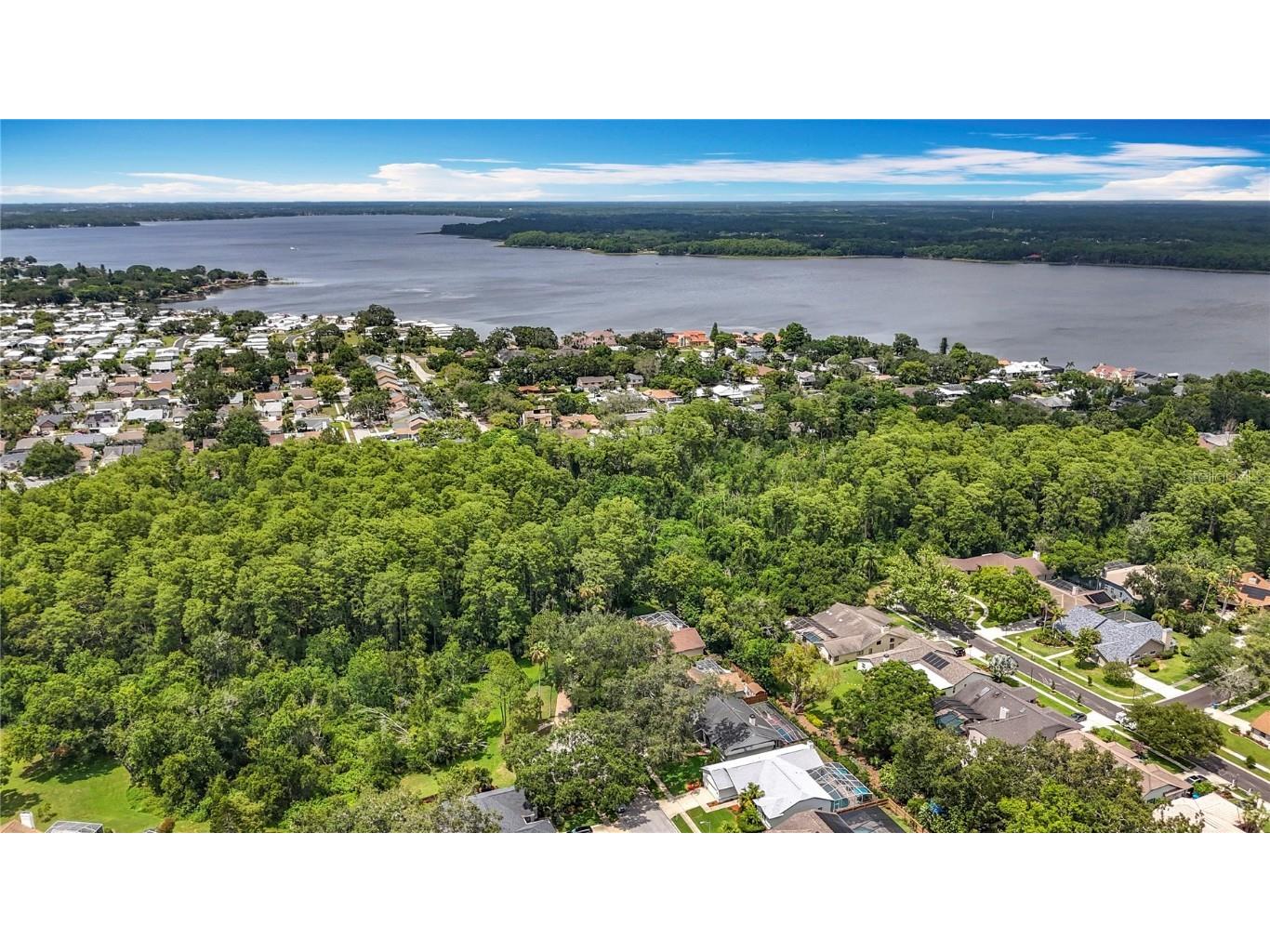 2973 Spring Oak Court Palm Harbor FL 34684 TB8439891 image40