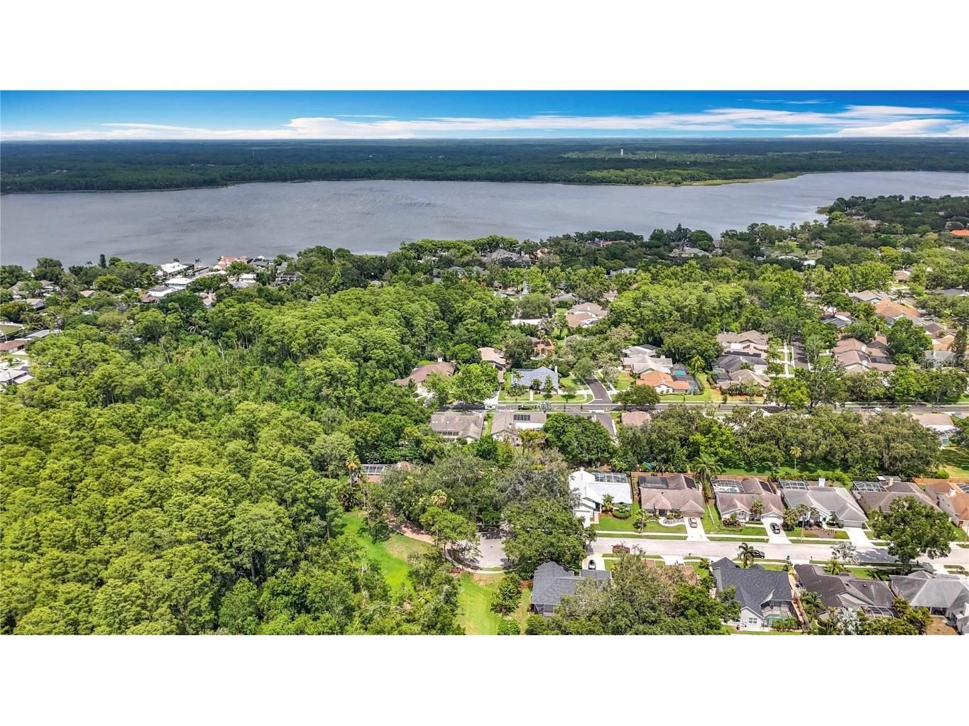 2973 Spring Oak Court Palm Harbor FL 34684 TB8439891 image41