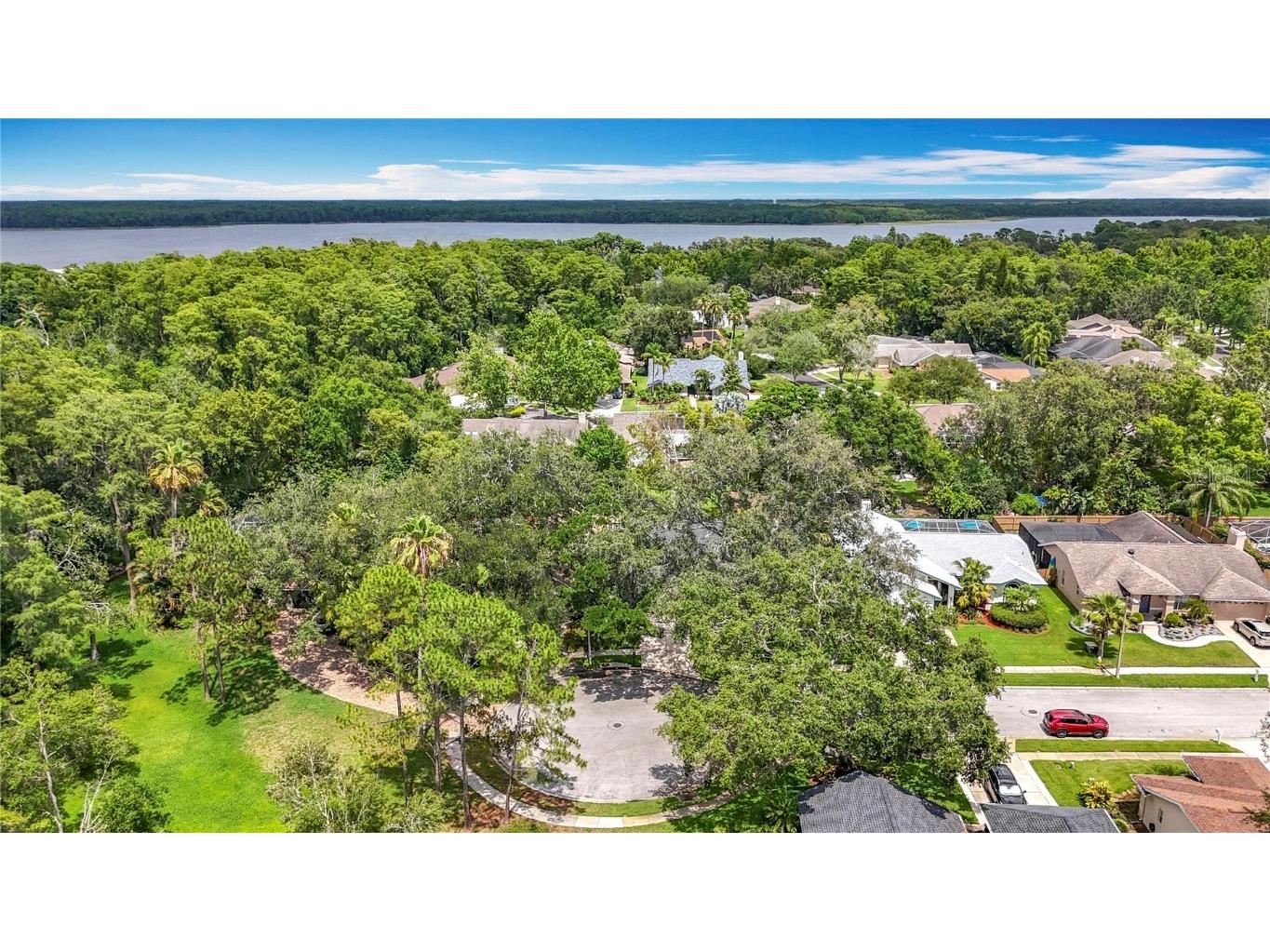 2973 Spring Oak Court Palm Harbor FL 34684 TB8439891 image42