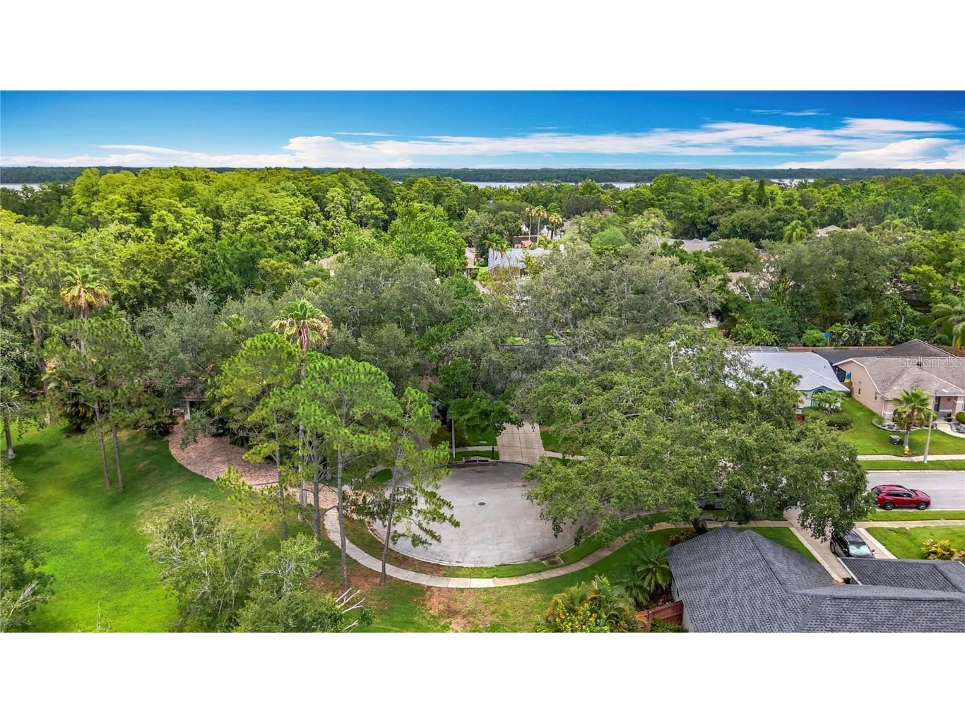 2973 Spring Oak Court Palm Harbor FL 34684 TB8439891 image43