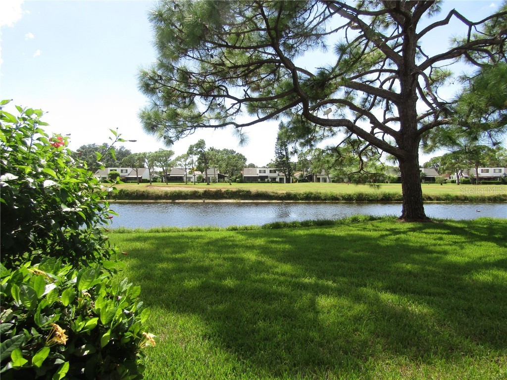 2973 Taywood Meadows #23 Sarasota FL 34235 A4666254 image21
