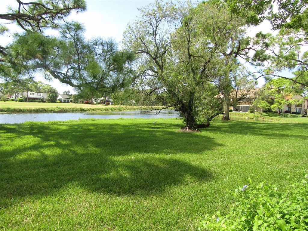 2973 Taywood Meadows #23 Sarasota FL 34235 A4666254 image23