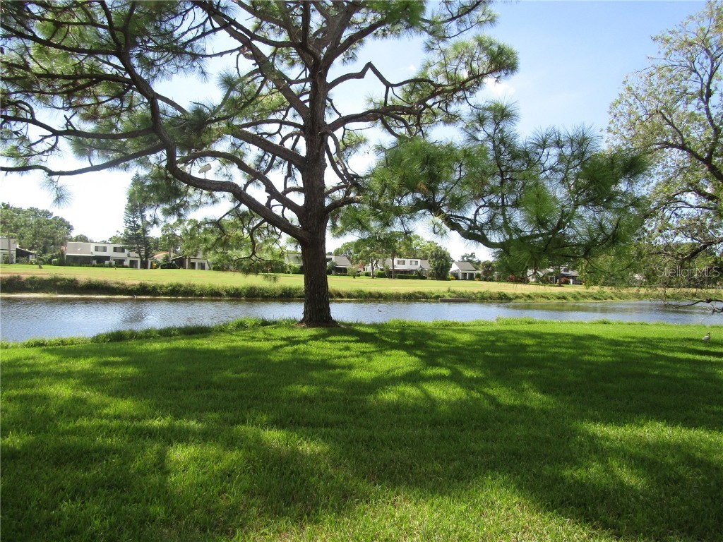 2973 Taywood Meadows #23 Sarasota FL 34235 A4666254 image24