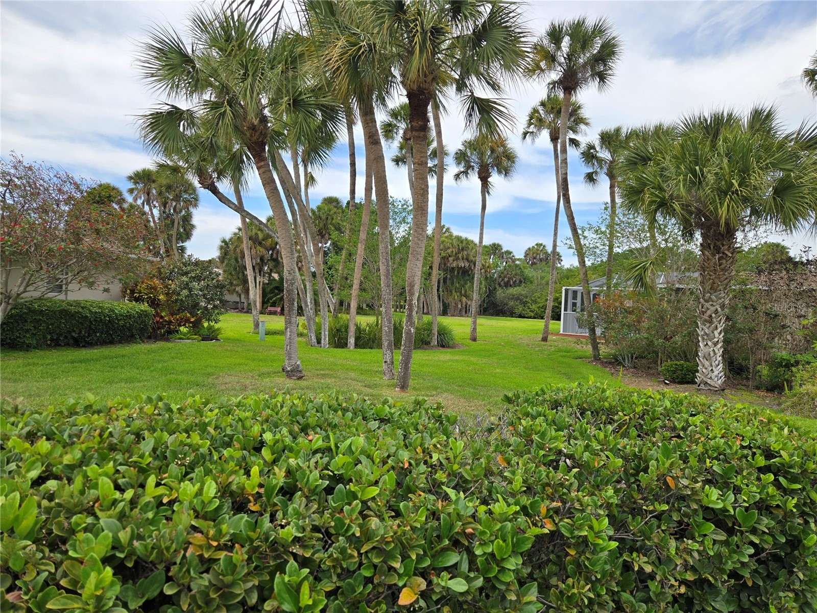 2974 Captiva Gardens Drive #17 Sarasota FL 34231 A4688730 image16