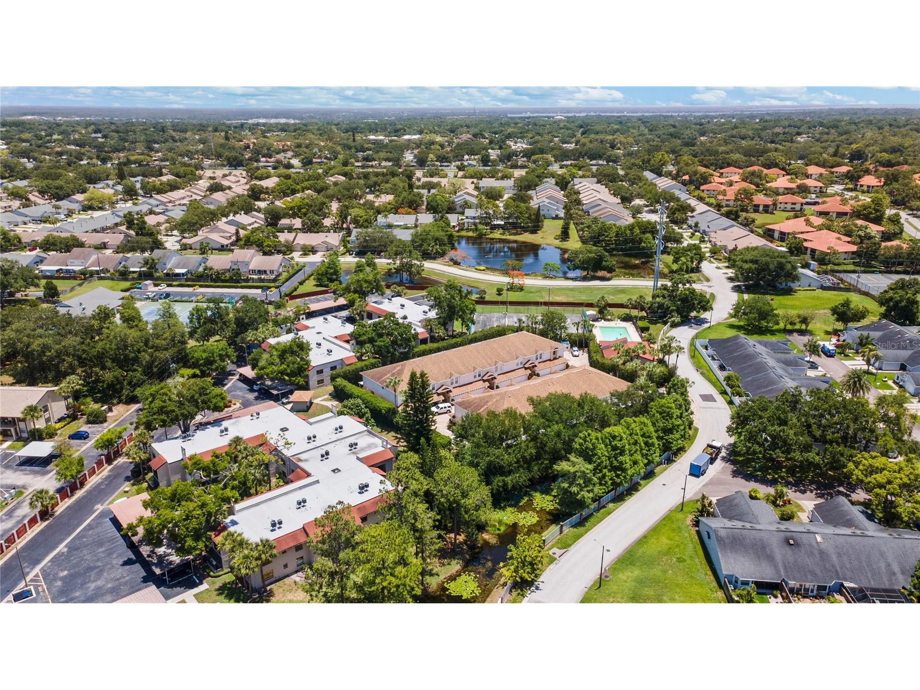 2974 Estancia Place Clearwater FL 33761 TB8494666 image28