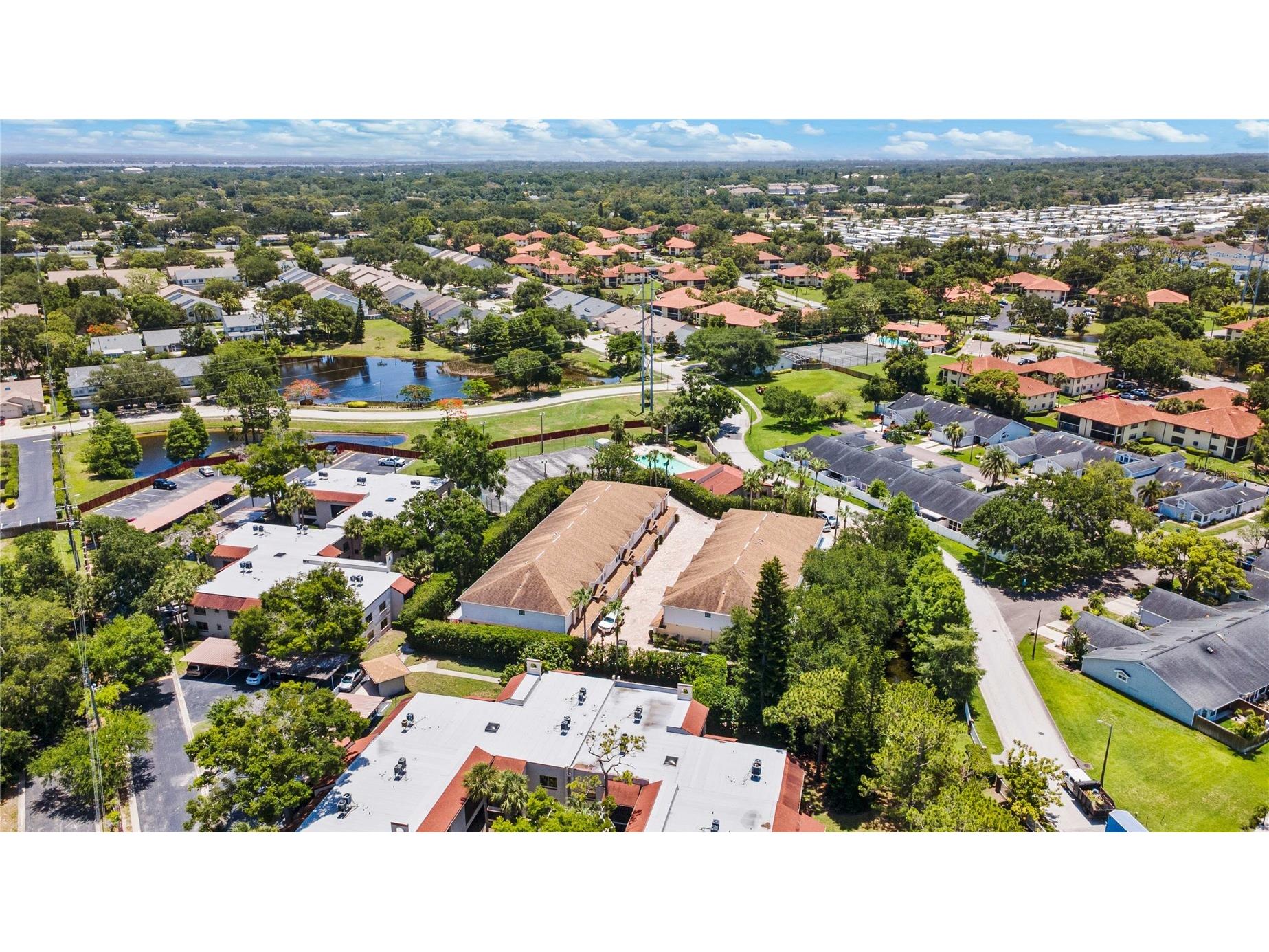 2974 Estancia Place Clearwater FL 33761 TB8494666 image32