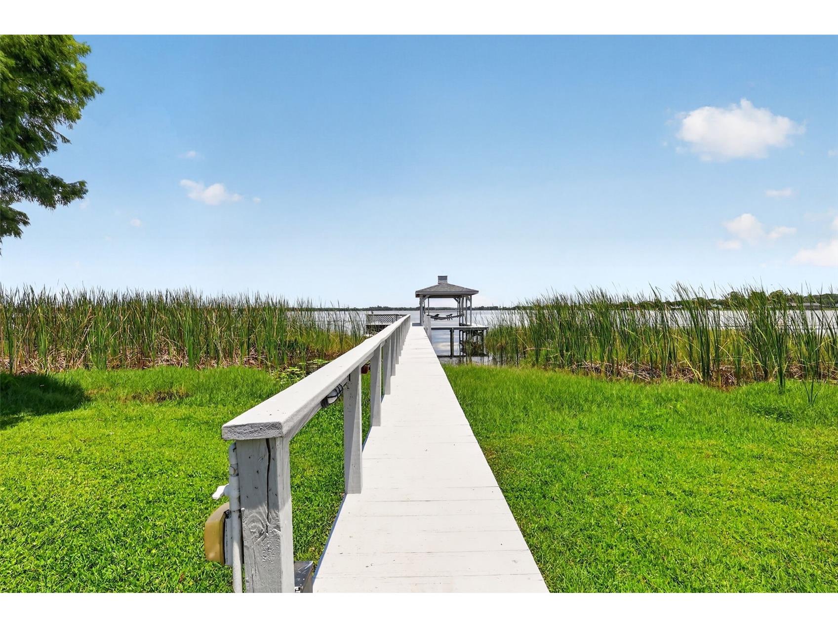 29742 Squirrel Point Road Tavares FL 32778 - LAKE DORA G5114255 image42