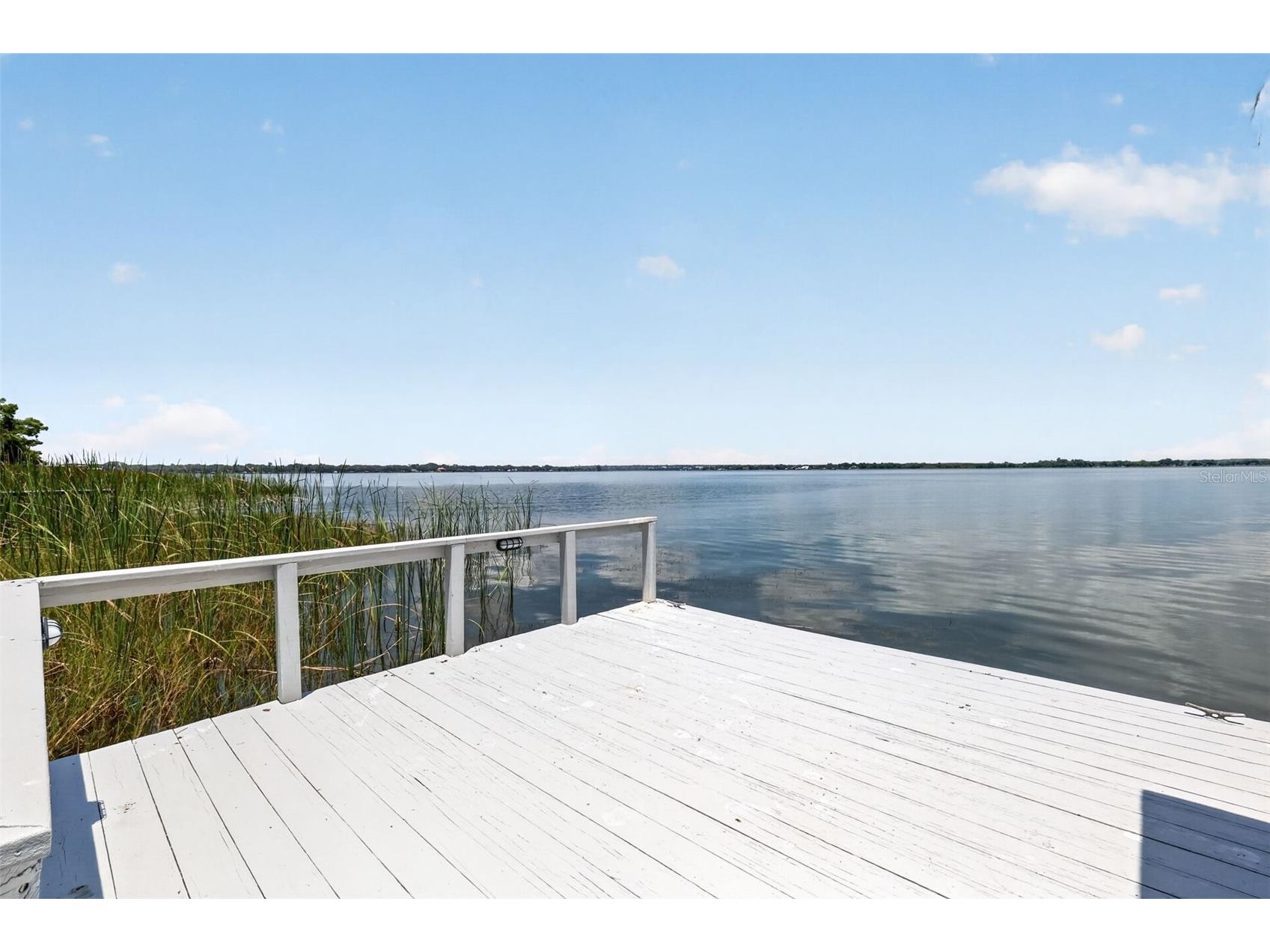 29742 Squirrel Point Road Tavares FL 32778 - LAKE DORA G5114255 image44