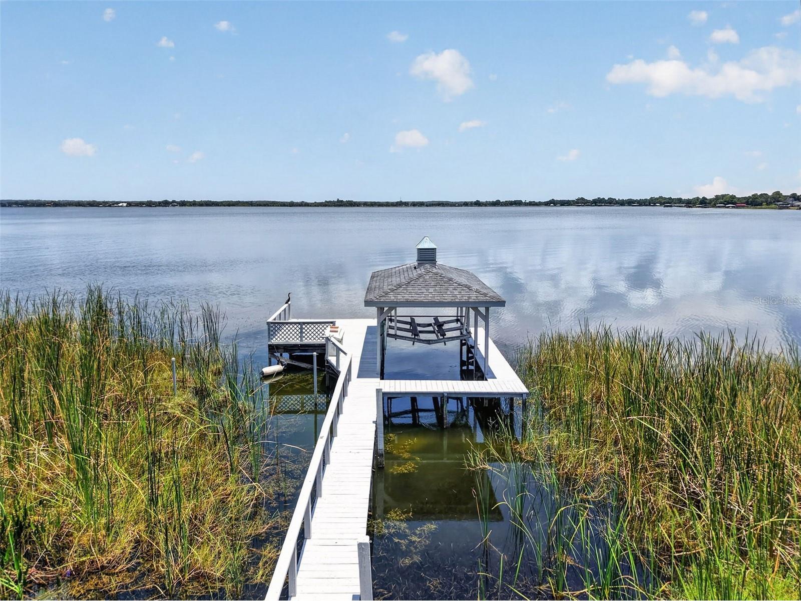 29742 Squirrel Point Road Tavares FL 32778 - LAKE DORA G5114255 image46