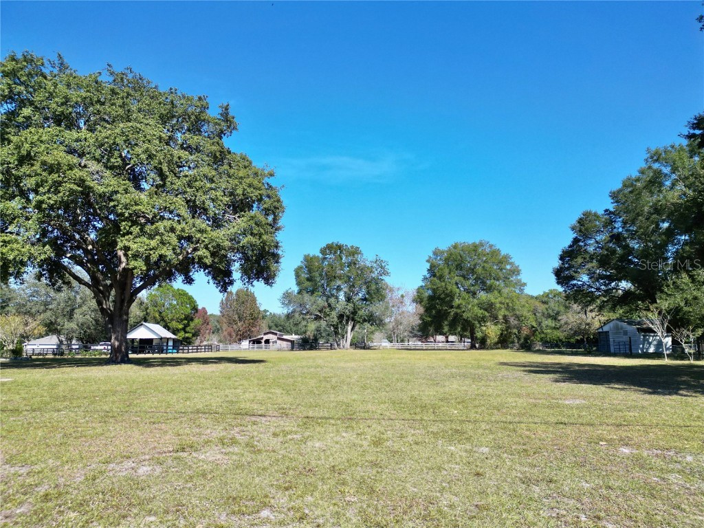 2975 SE 159th Lane Road Summerfield FL 34491 OM713870 image4
