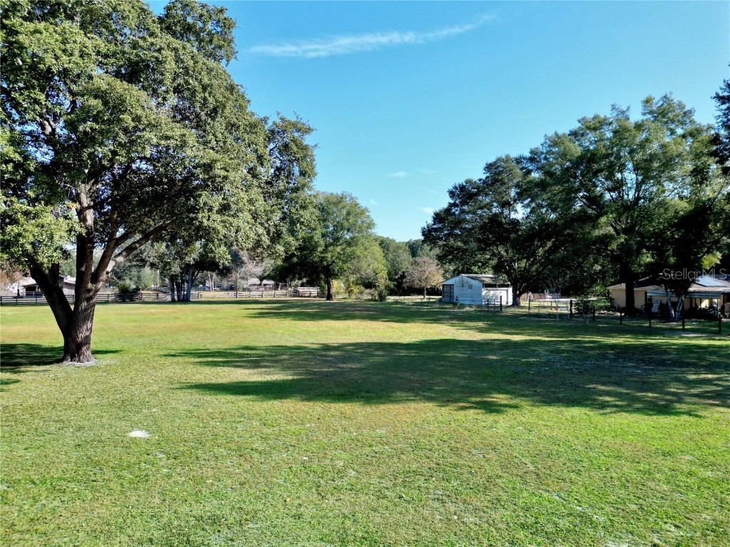 2975 SE 159th Lane Road Summerfield FL 34491 OM713870 image5