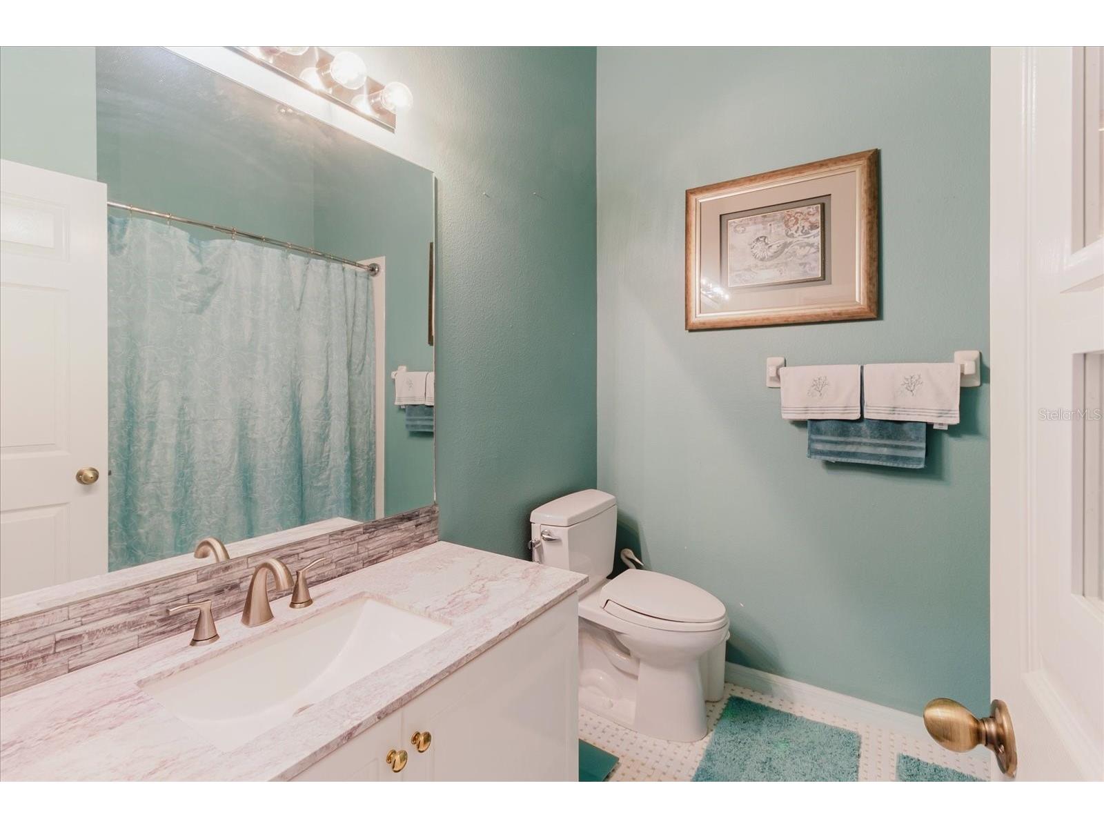 2976 Fieldbrook Place Clearwater FL 33761 TB8514235 image44